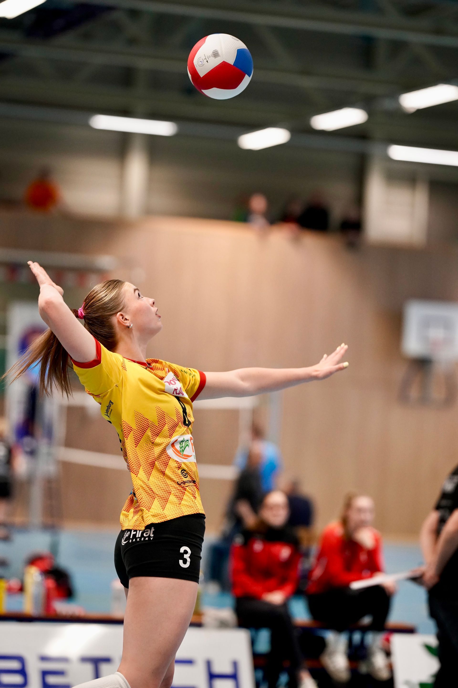 ©2026-Strikwerda Fotografie
Eredivisie volleybal 
Nevobo
