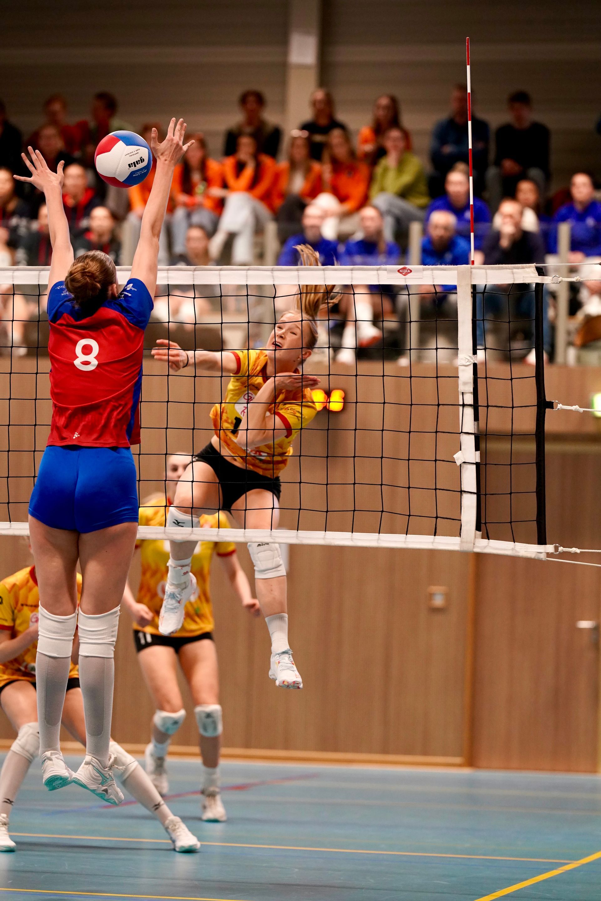 ©2026-Strikwerda Fotografie
Eredivisie volleybal 
Nevobo
