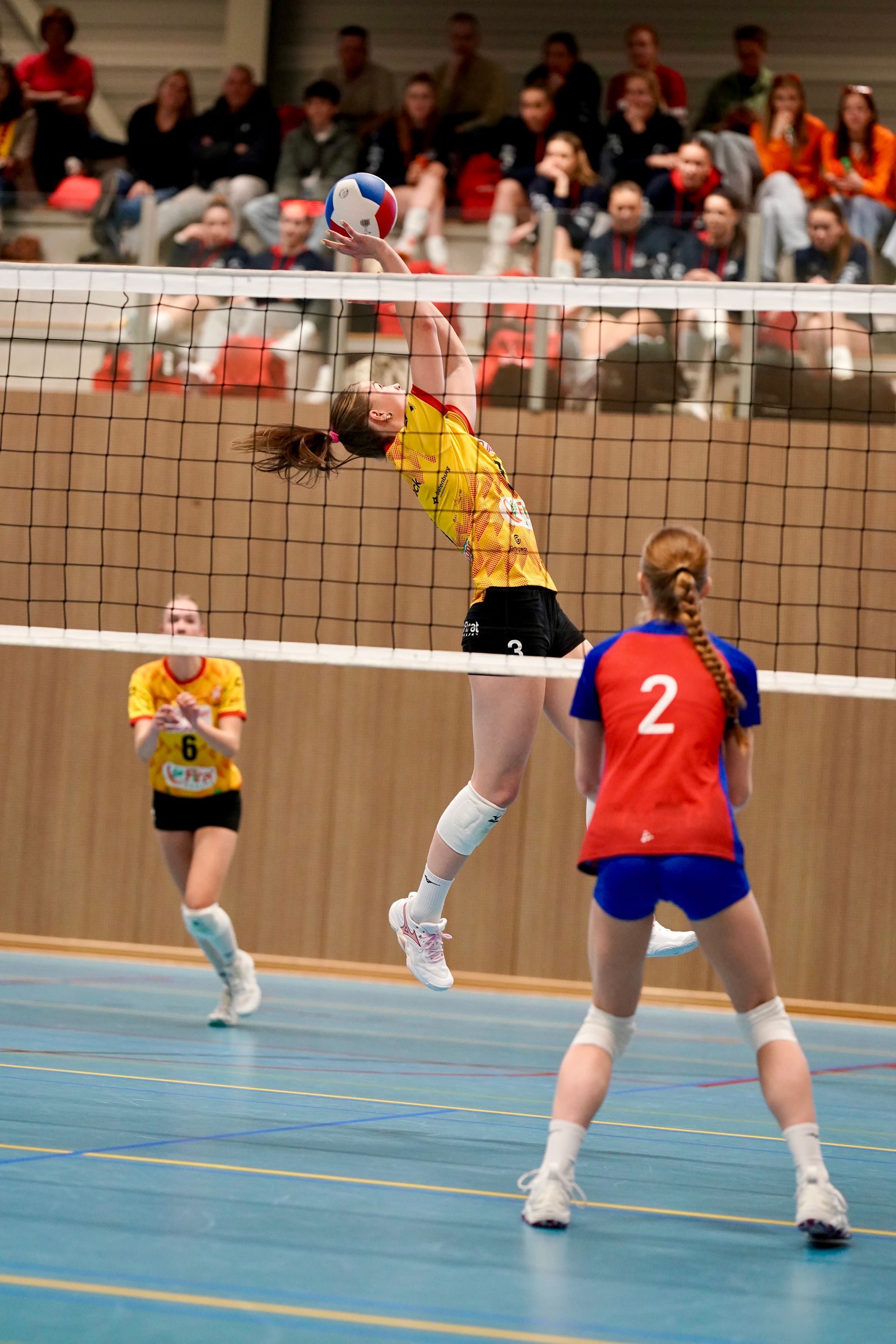 ©2026-Strikwerda Fotografie
Eredivisie volleybal 
Nevobo