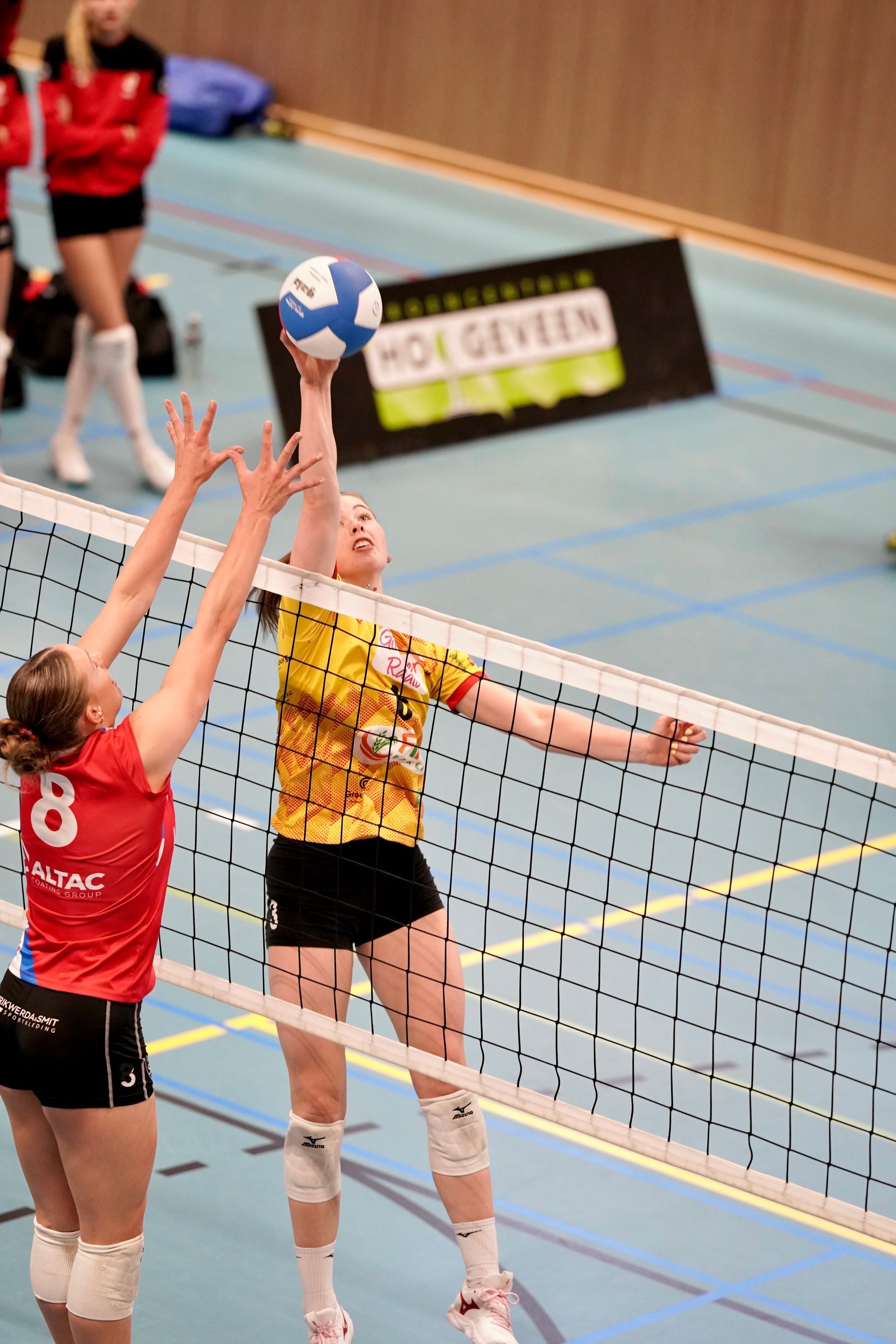 ©2026-Strikwerda Fotografie
Eredivisie volleybal 
Nevobo