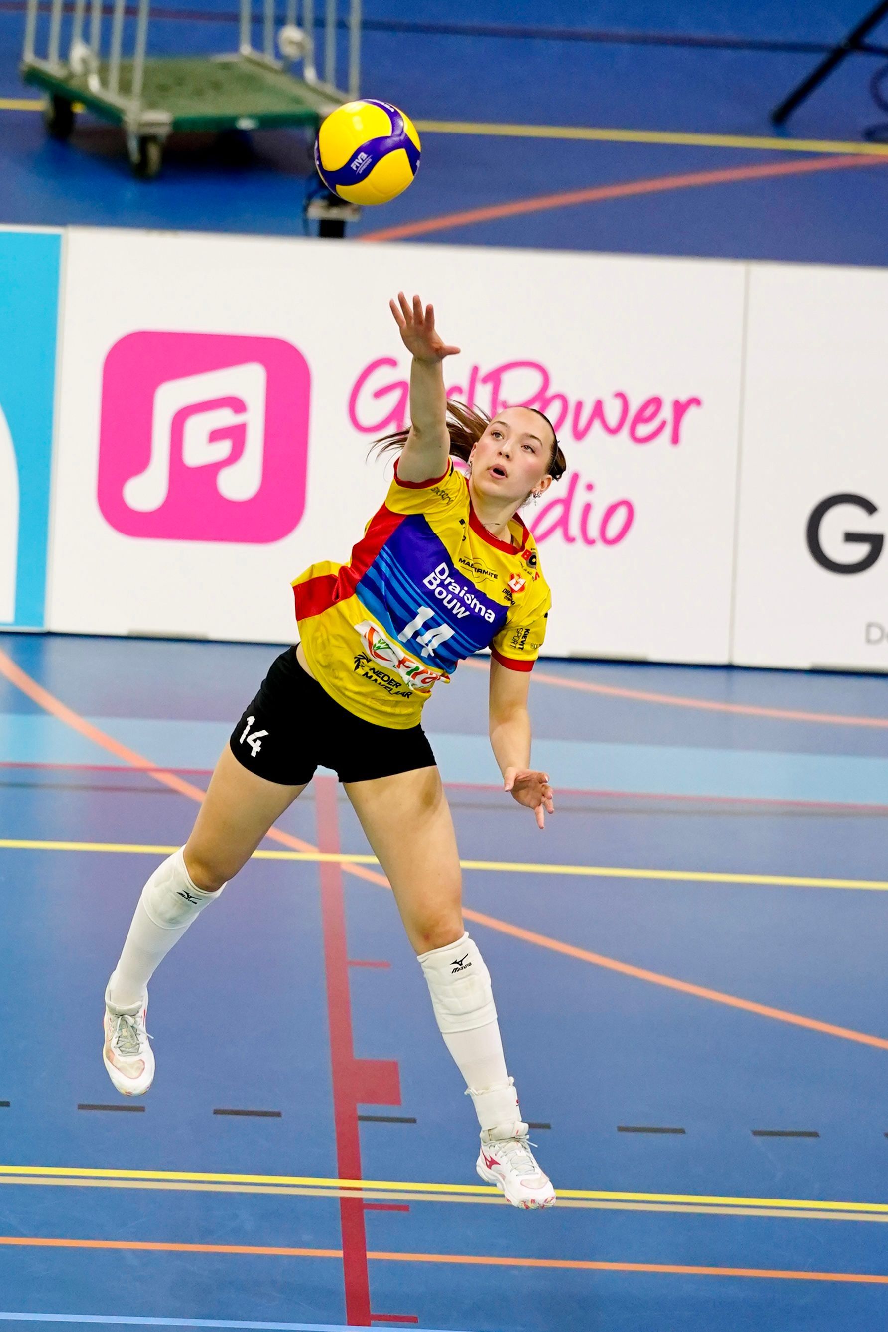 Saar Meijer #14
©2026-Strikwerda Fotografie
Eredivisie volleybal 
Nevobo
