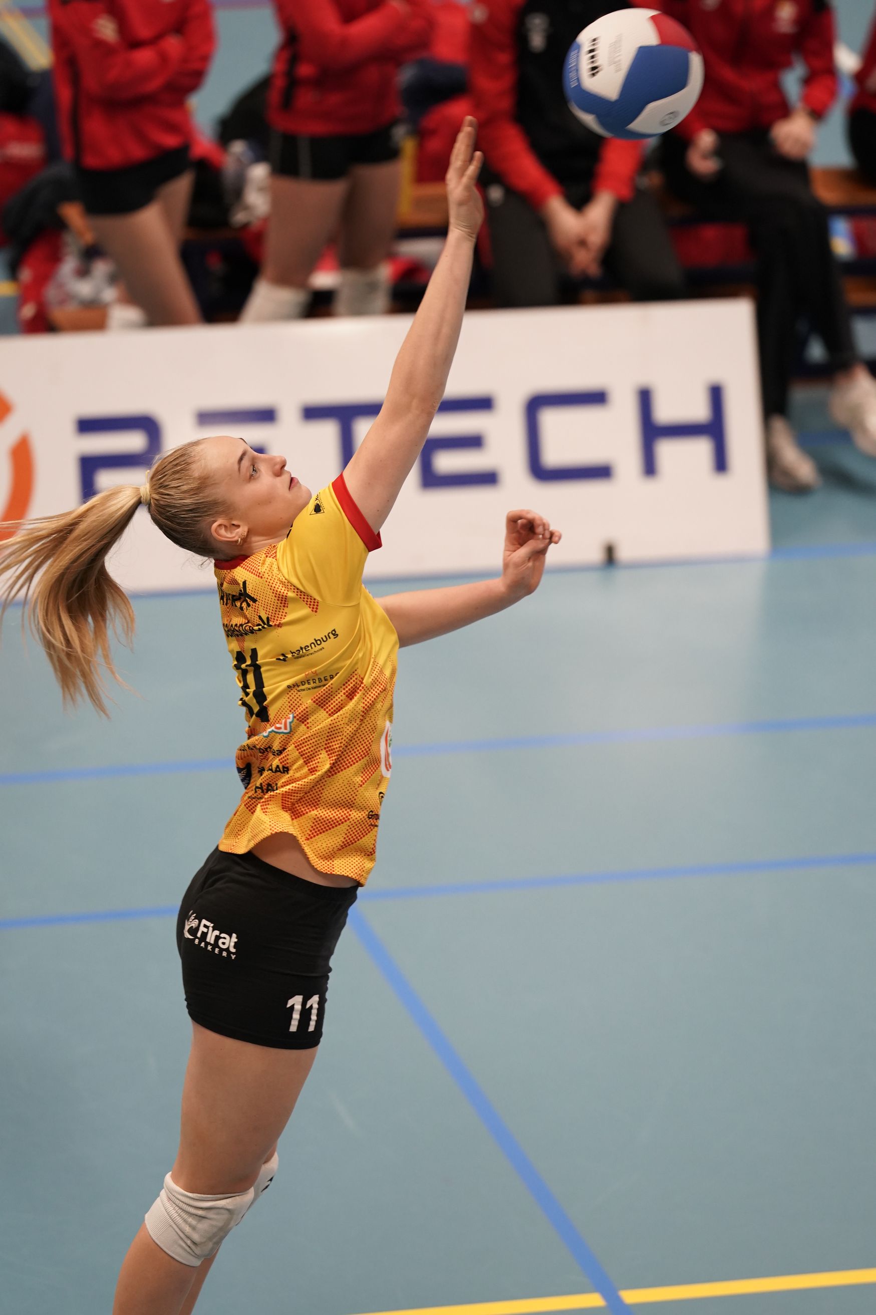 ©2026-Strikwerda Fotografie
Eredivisie volleybal 
Nevobo