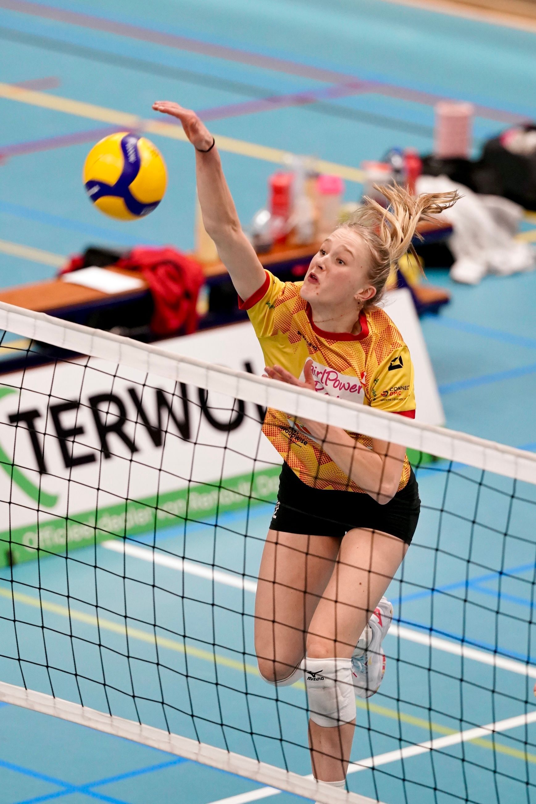 ©2026-Strikwerda Fotografie
Eredivisie volleybal 
Nevobo