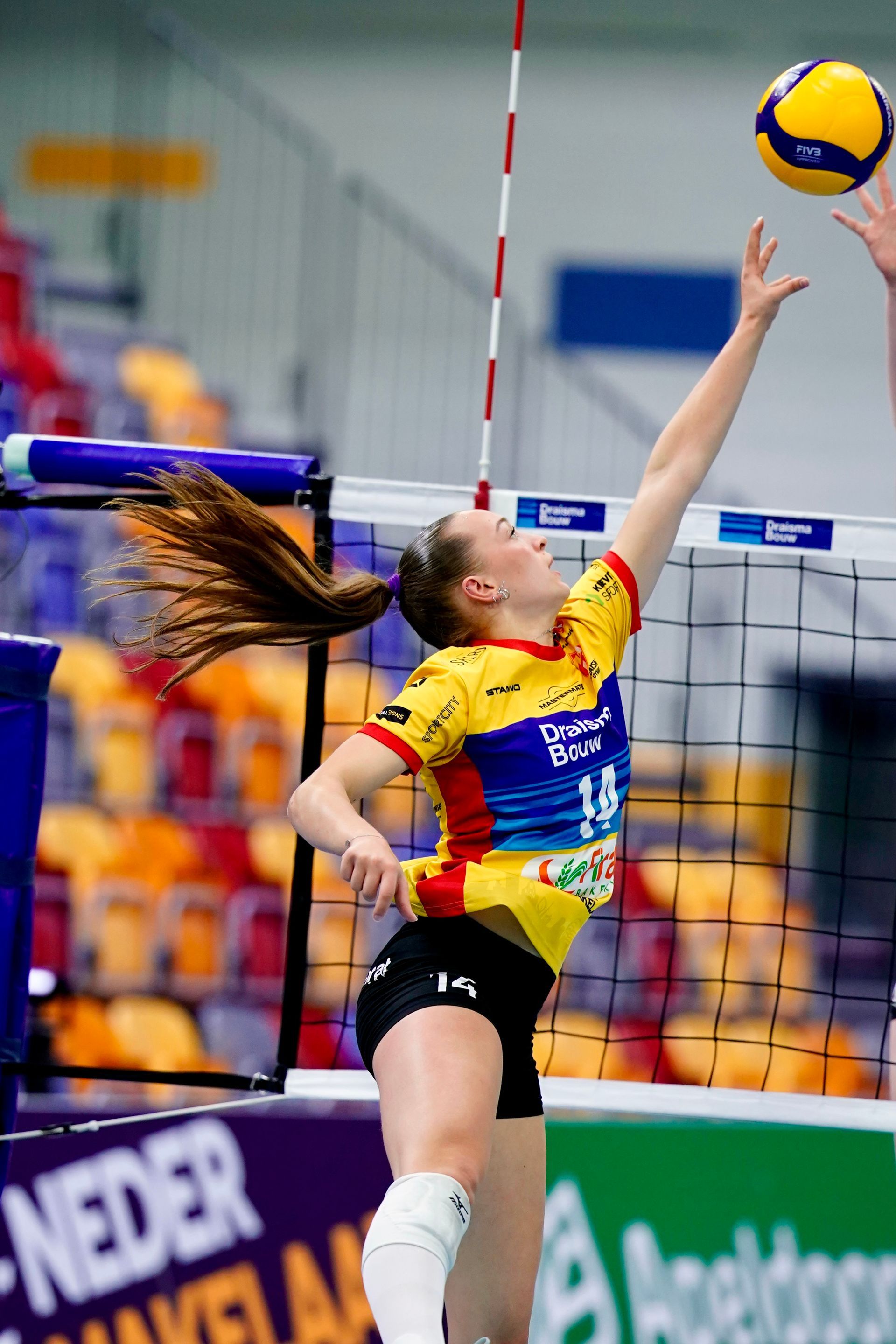 Saar Meijer #14
©2026-Strikwerda Fotografie
Eredivisie volleybal 
Nevobo