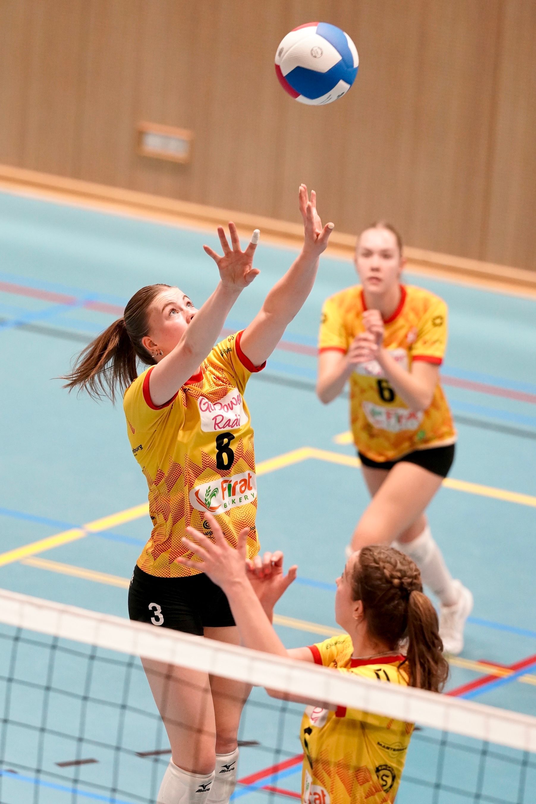 ©2026-Strikwerda Fotografie
Eredivisie volleybal 
Nevobo