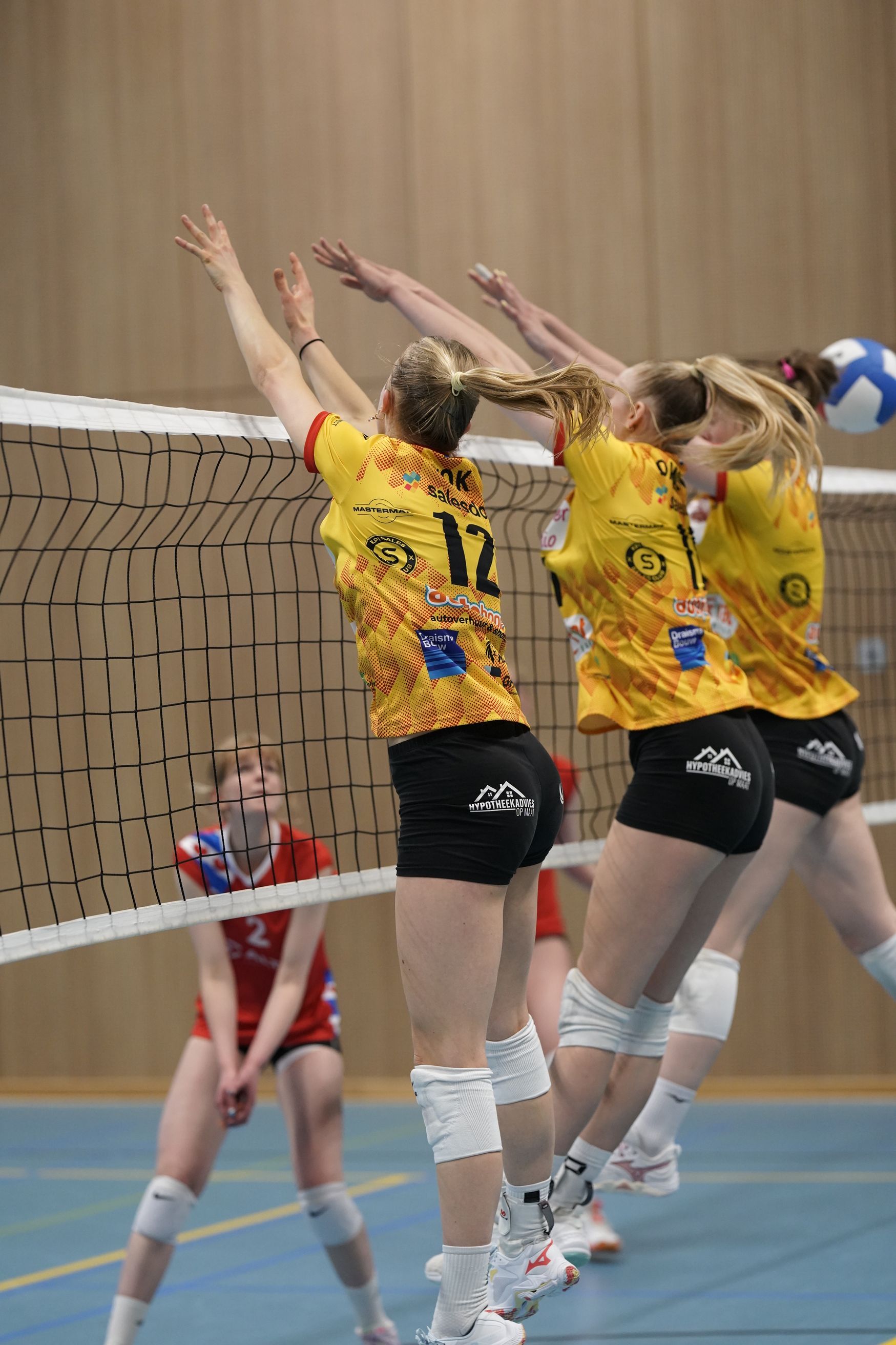 ©2026-Strikwerda Fotografie
Eredivisie volleybal 
Nevobo