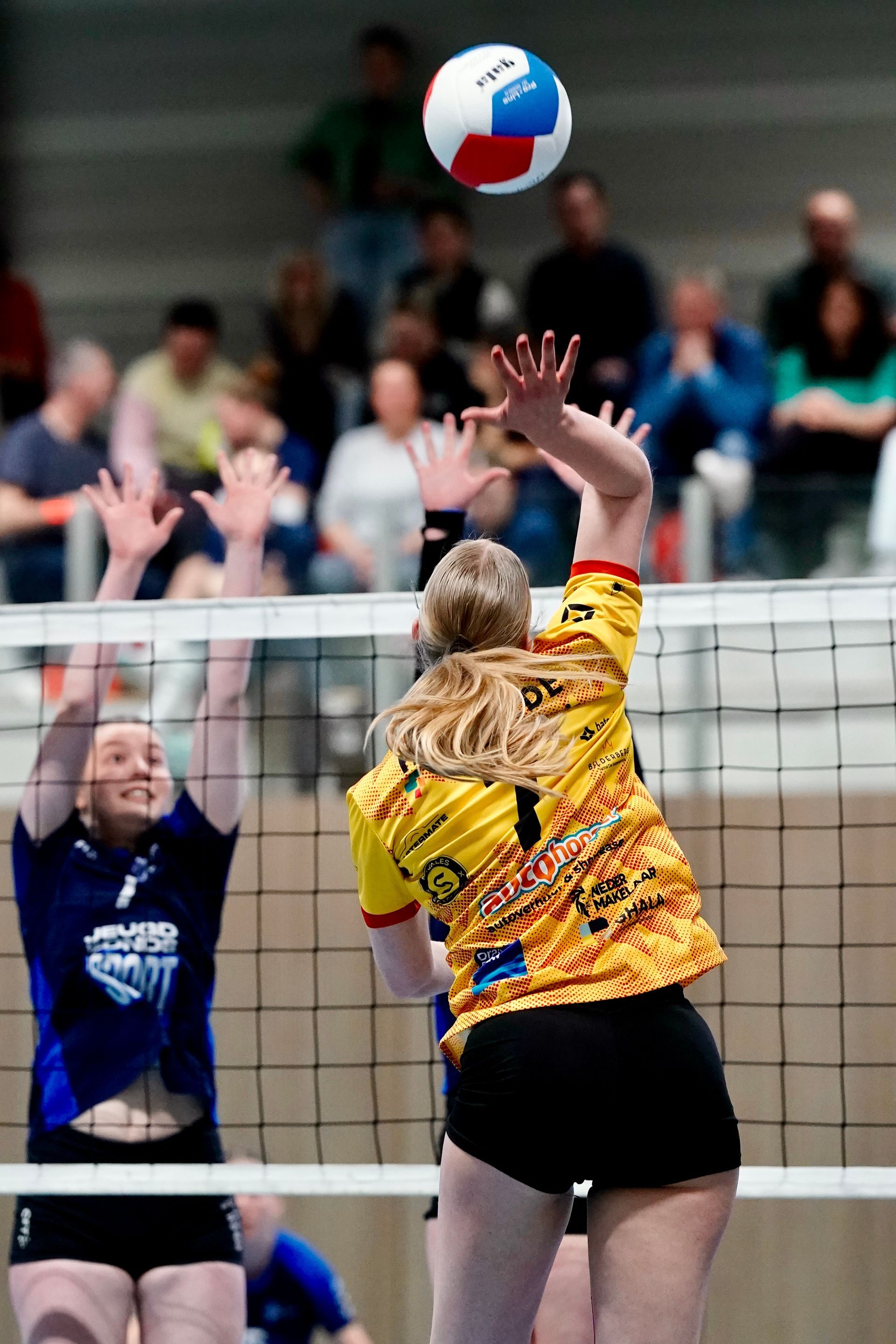 ©2026-Strikwerda Fotografie
Eredivisie volleybal 
Nevobo