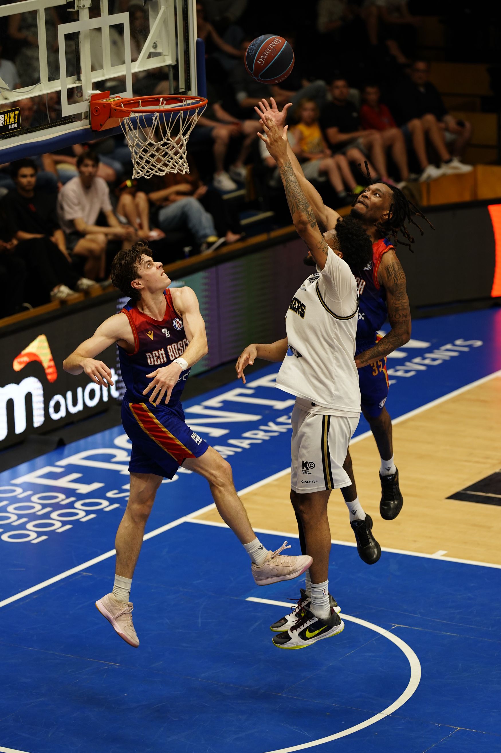 ©2026-Strikwerda Fotografie
Basketbal