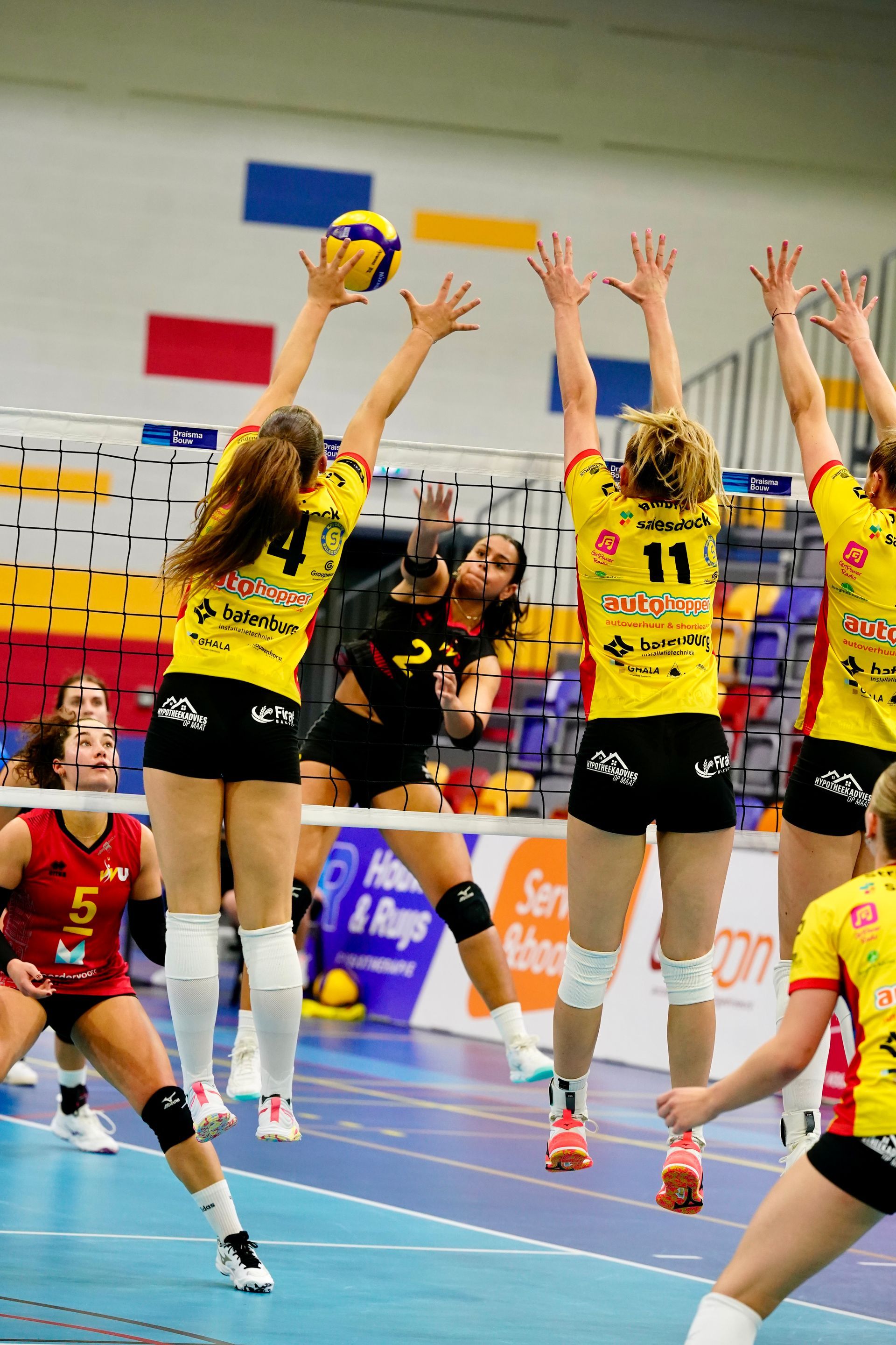 Eredivisievolleybal
Nevobo