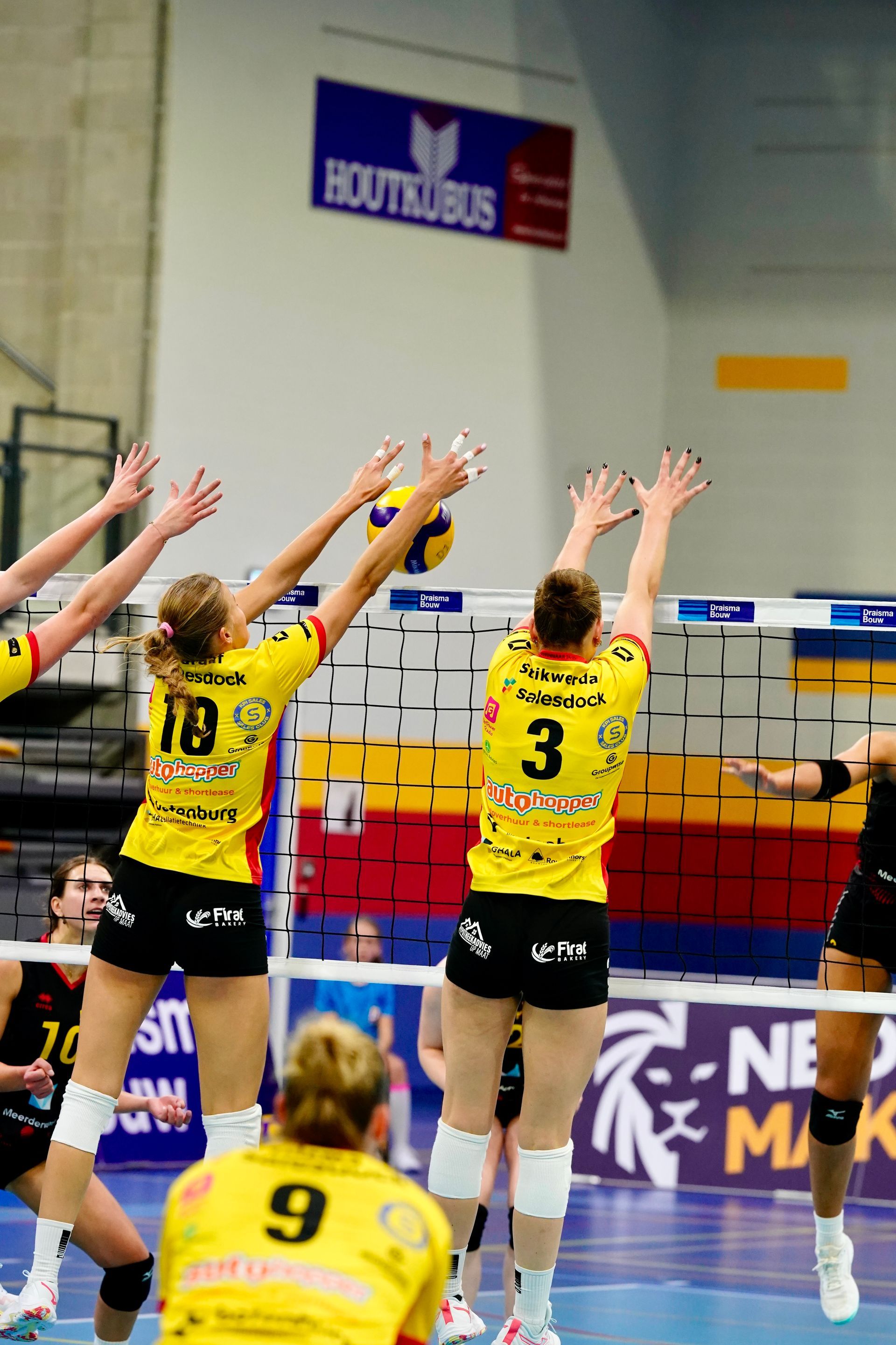 Eredivisievolleybal
Nevobo