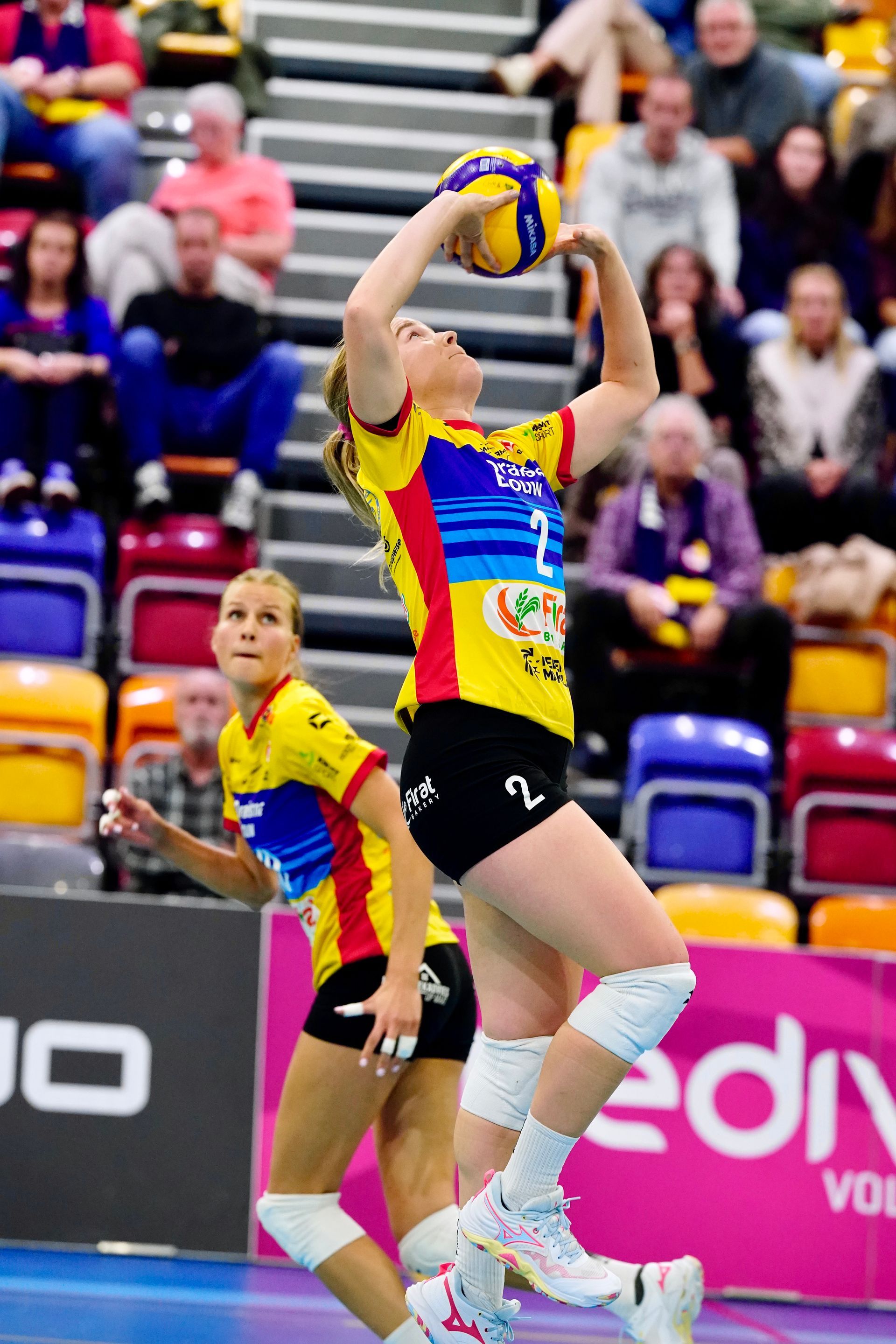 Lisan van de Vosse #2
Eredivisievolleybal
Nevobo