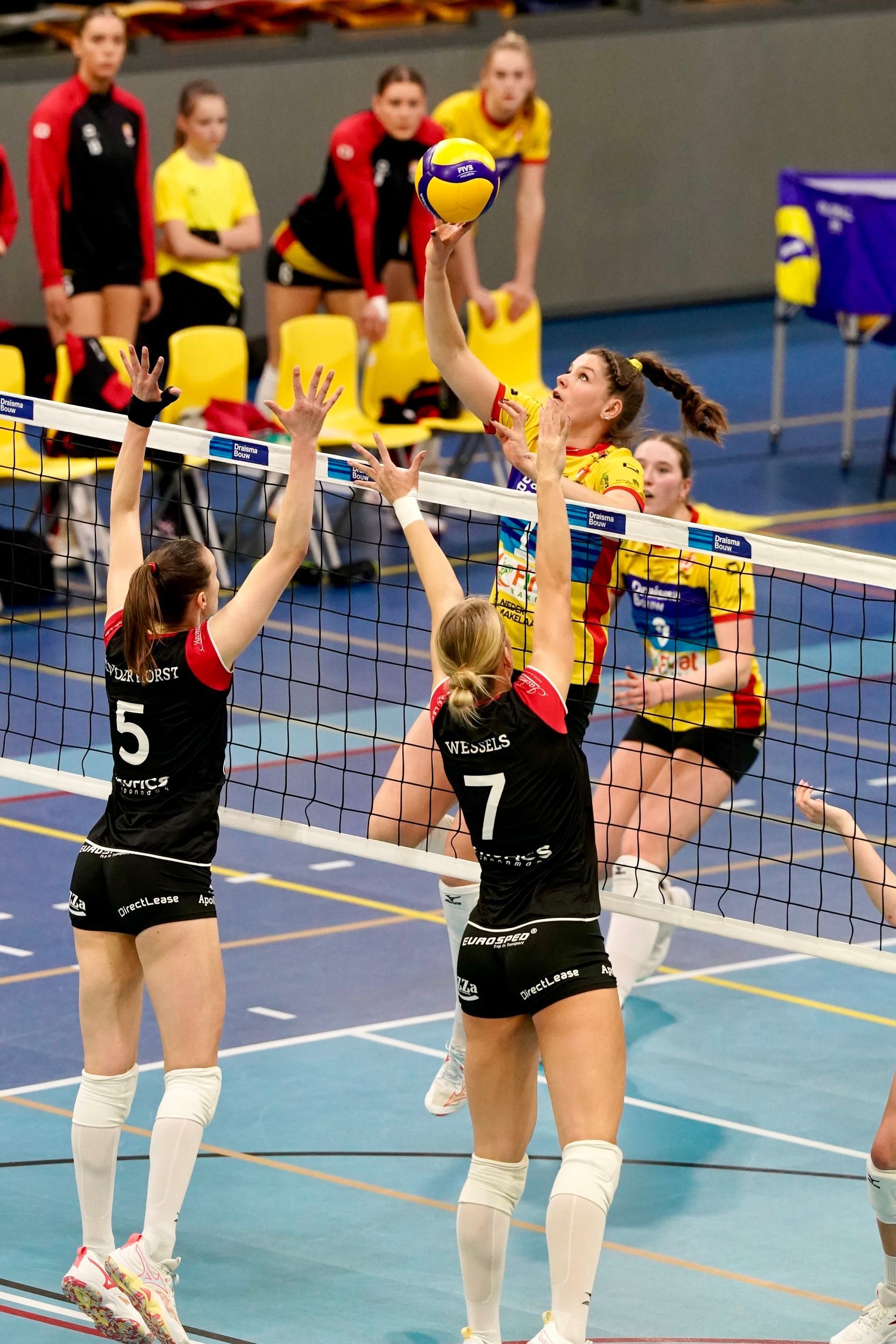 ©2026-Strikwerda Fotografie
Eredivisie volleybal 
Nevobo