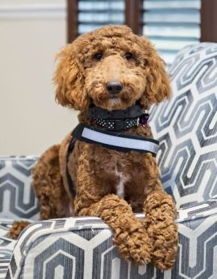 Staff Photo