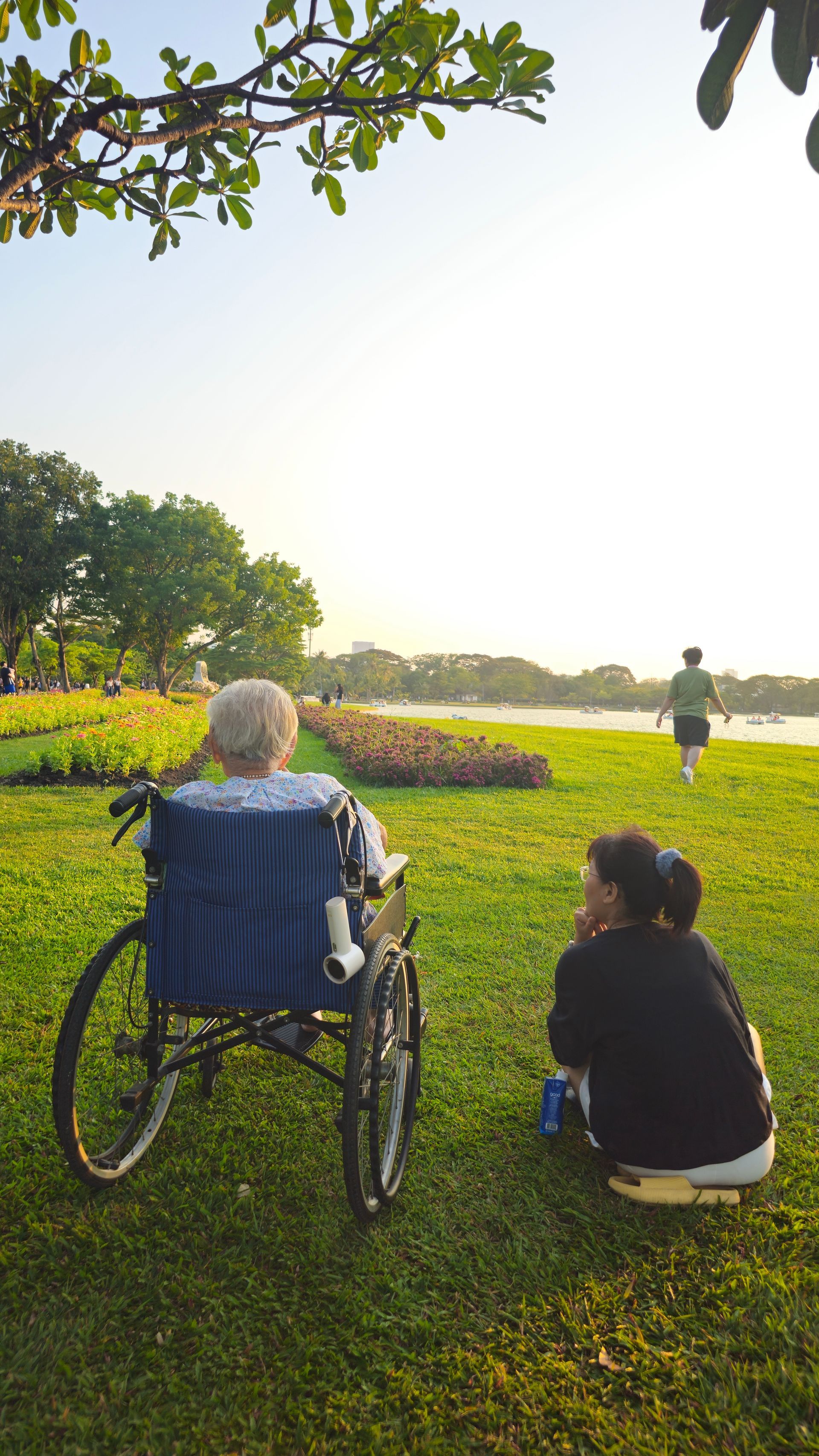 Local Hospitals and Hospice Programs