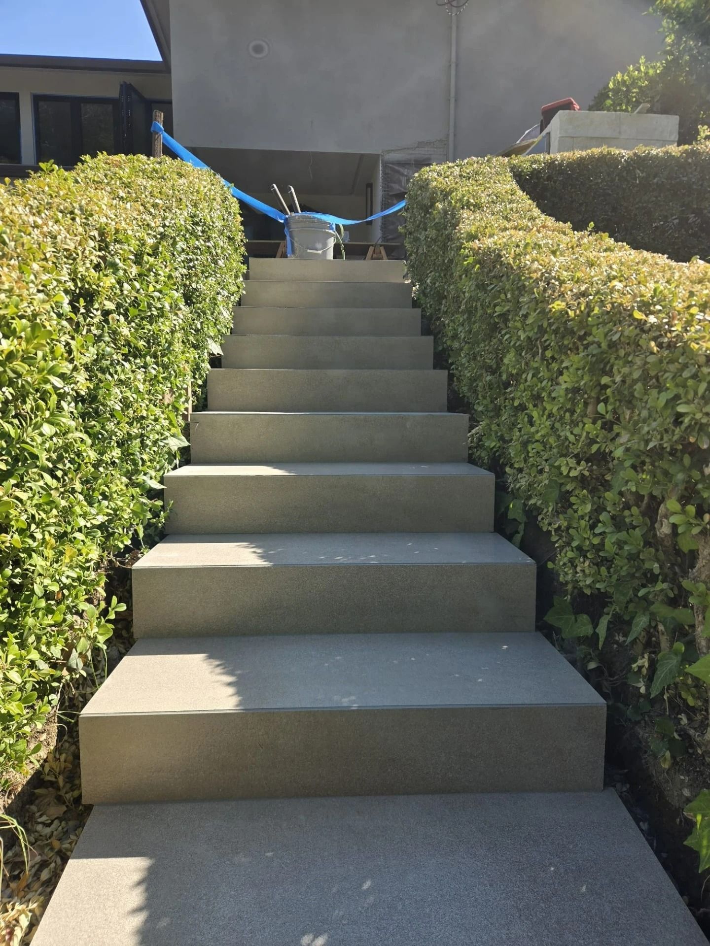Concrete steps between green hedges leading to a house entrance under bright sunlight