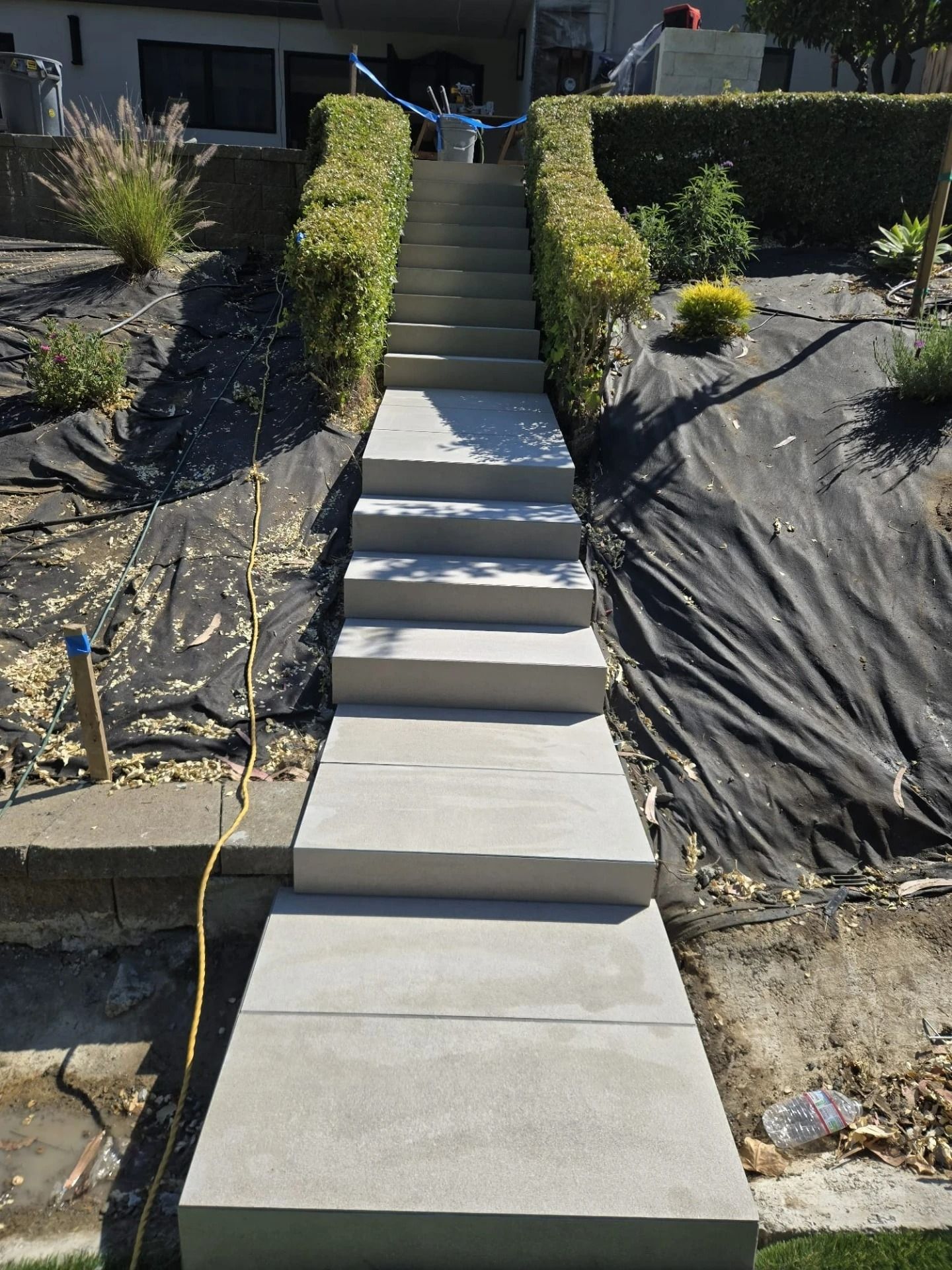 Concrete stairs up a landscaped hillside, with trimmed hedges and black erosion-control fabric on both sides