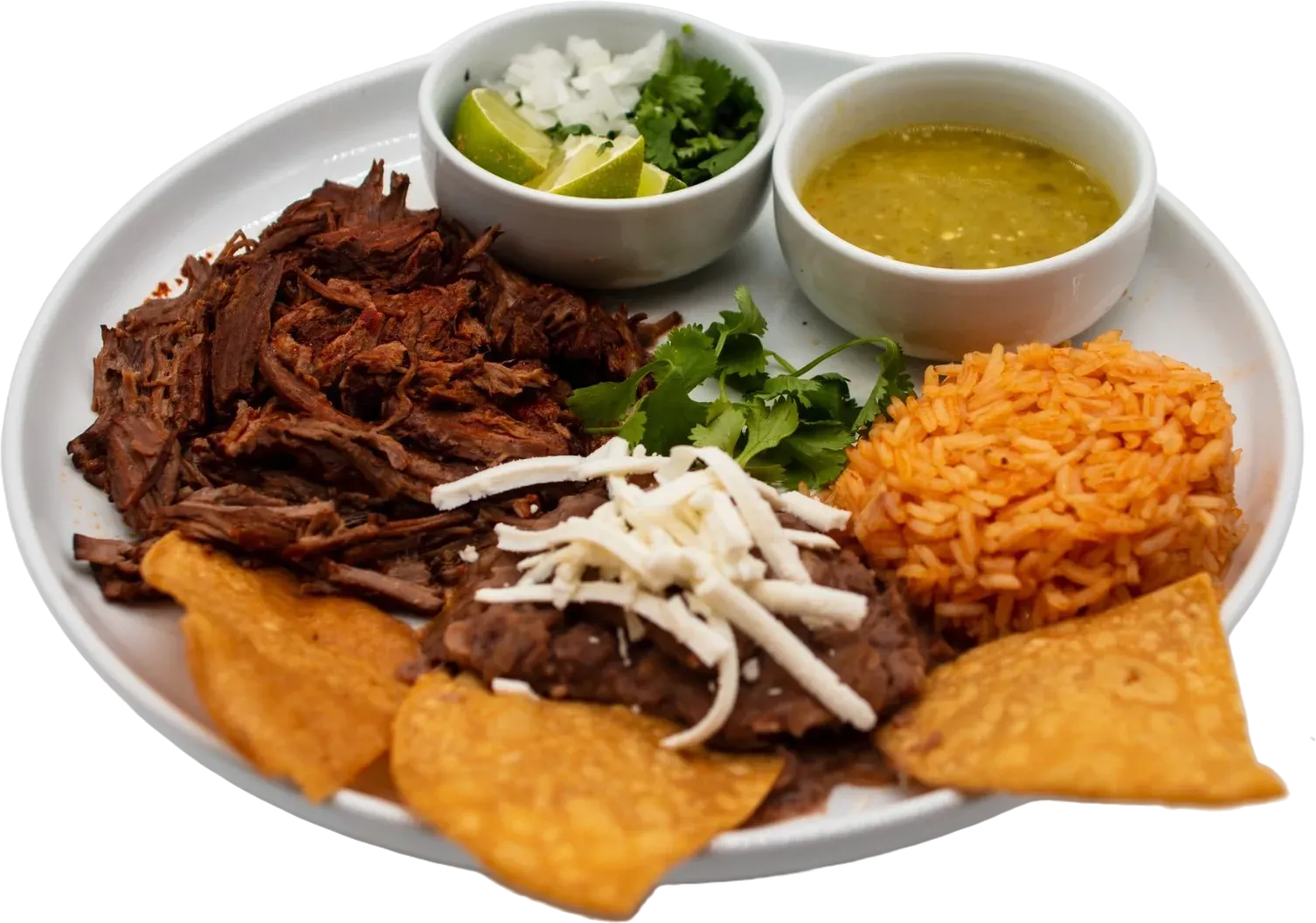 Plate of Mexican food: shredded beef, rice, beans, salsa, tortillas, cilantro, onions, lime.