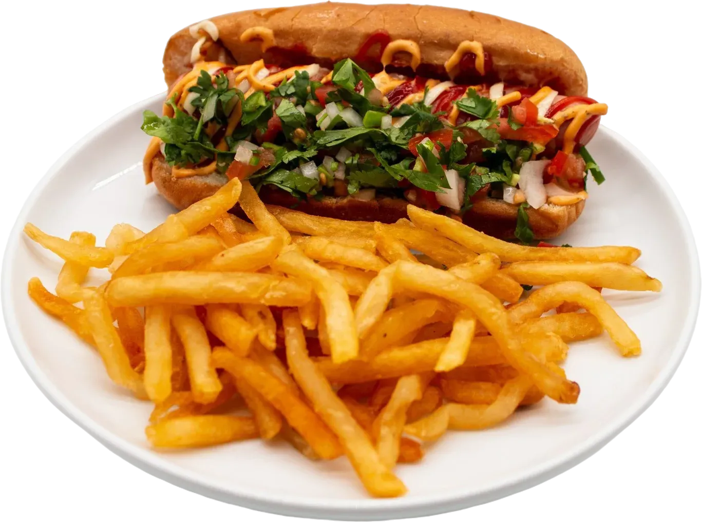 Hot dog on bun with fries on a white plate. Toppings include salsa, parsley, and sauces.