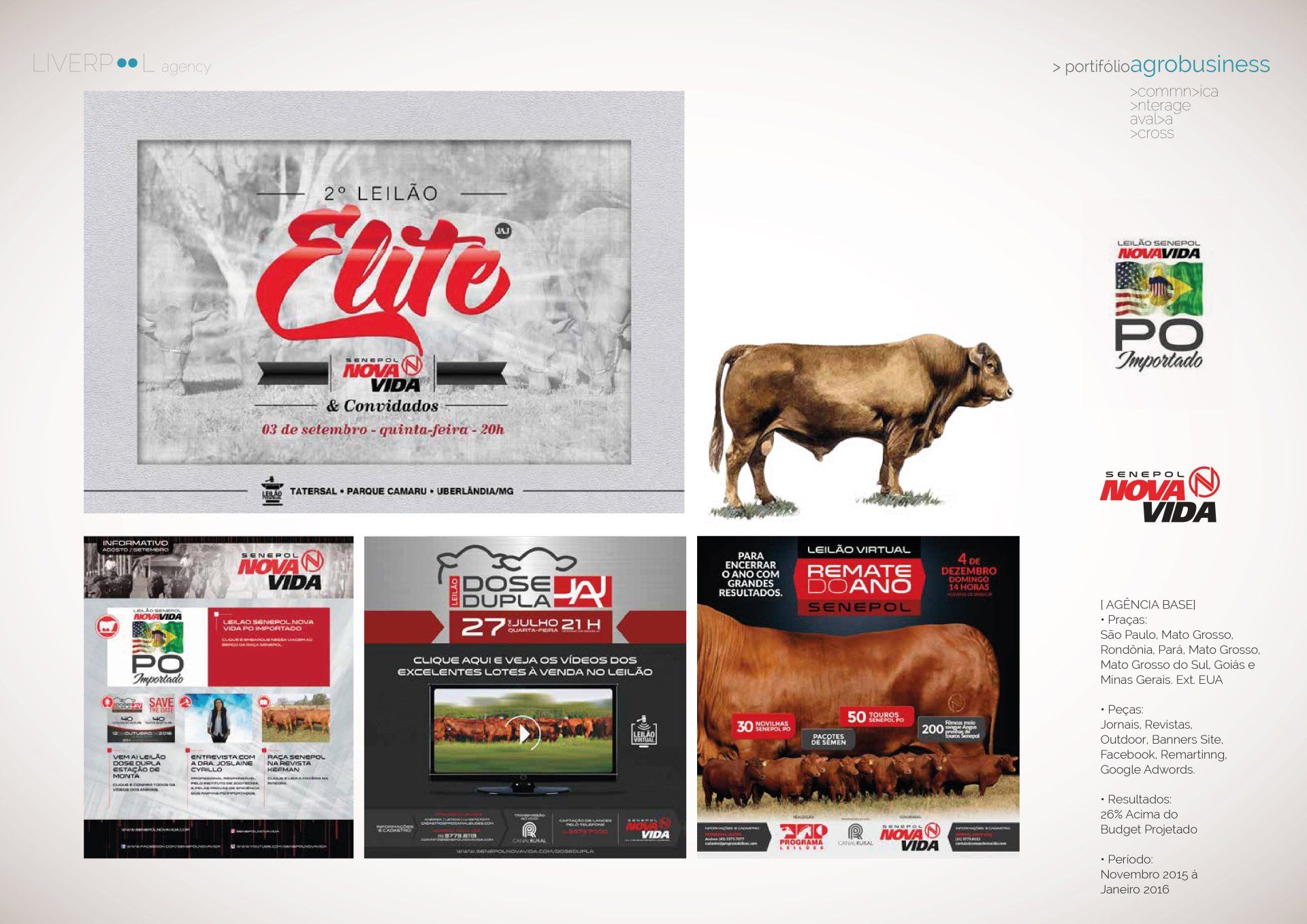 Uma colagem digital que promove leilões de gado com logotipos, uma ilustração de um touro e detalhes do evento sobre um fundo claro.