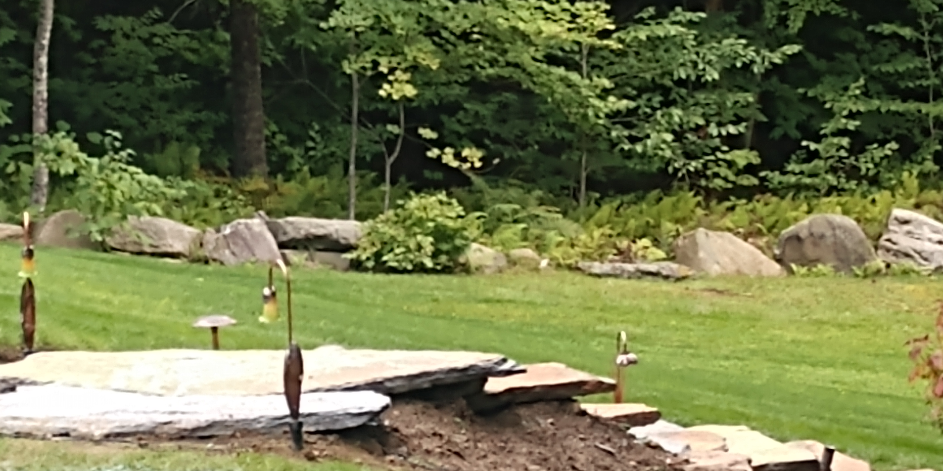 A large rock in the middle of a lush green field with trees in the background.