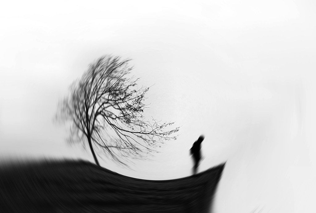 Silhouette of a person standing near a bare tree on a hill, black and white, overcast sky.
