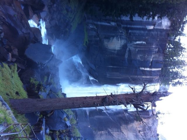 Waterfall cascading down a rocky cliff, with a fallen tree in the foreground.