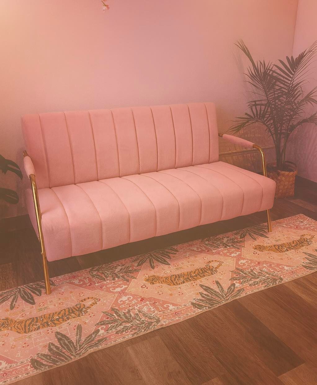 Pink velvet sofa with gold legs, on a patterned rug, near a potted plant.