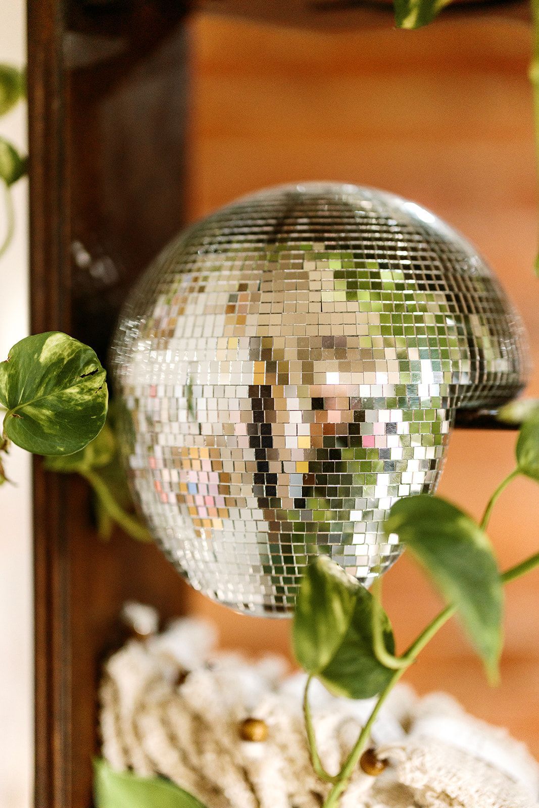 Silver mirrored disco ball hanging among green leaves indoors