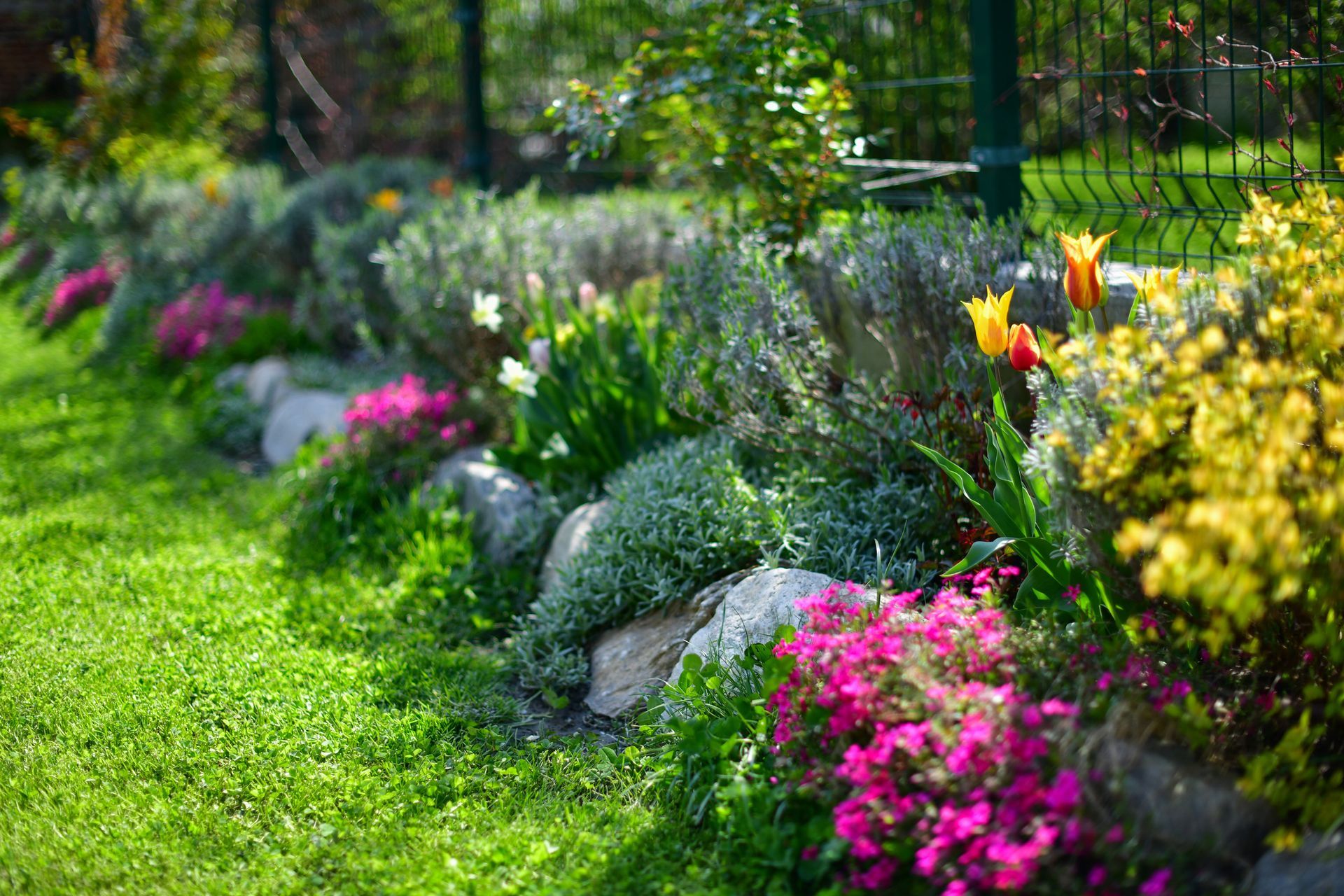 Colorful flower bed bordering a green lawn, edged with rocks and a wire fence. Colorful flower bed bordering a green lawn, edged with rocks and a wire fence.