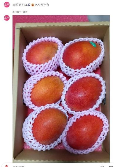 一個盒子裡裝滿了一串用塑膠包裹的芒果
