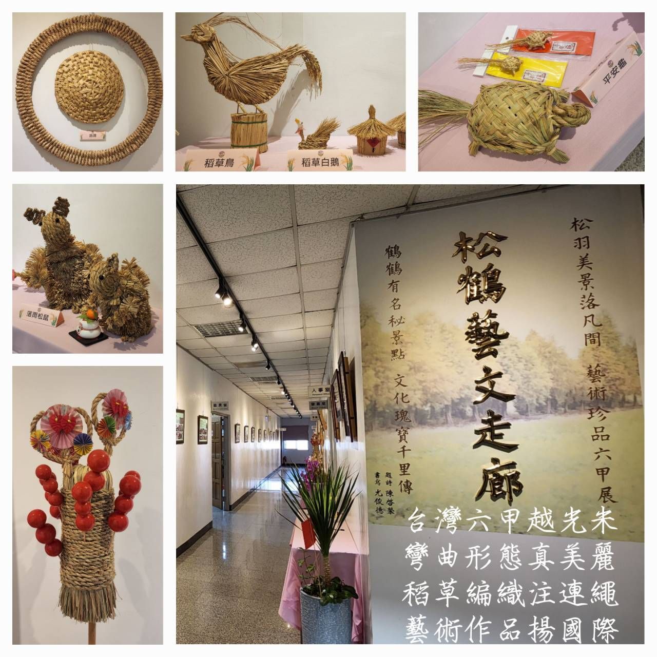 一幅帶有中文文字的圖片拼貼畫
