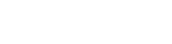 McLean Logo in White