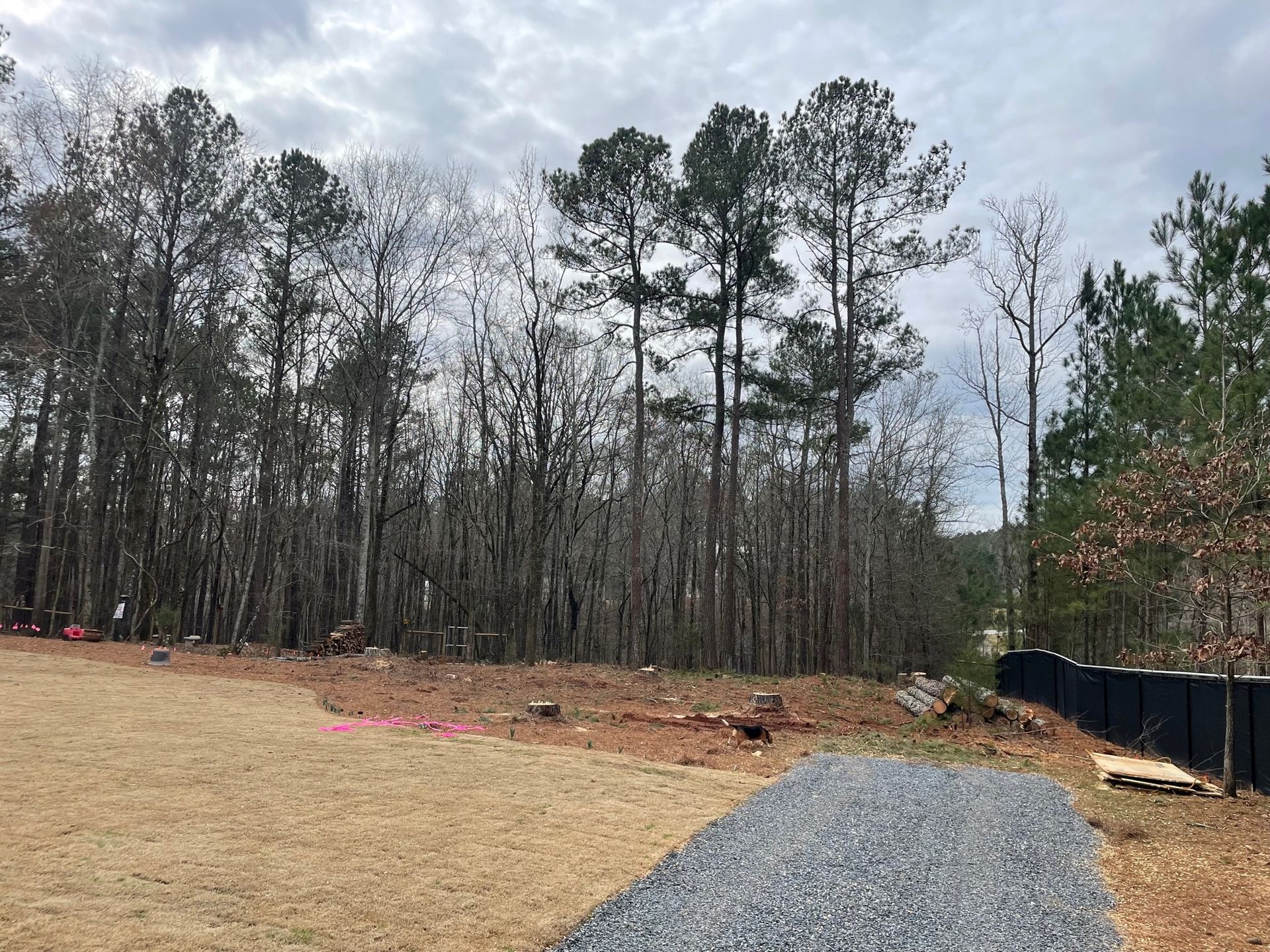 Tree & Stump Danielsville, GA Cowart Tree Service LLC