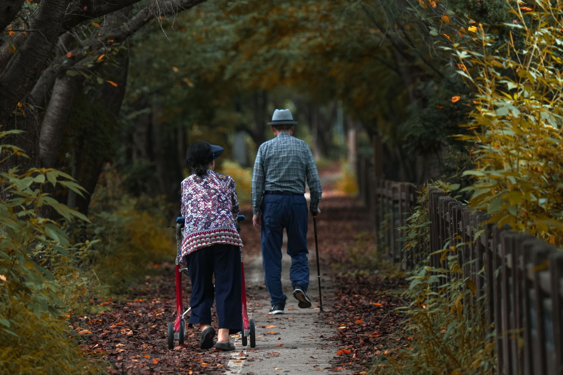 elderly walking through woods with a walker