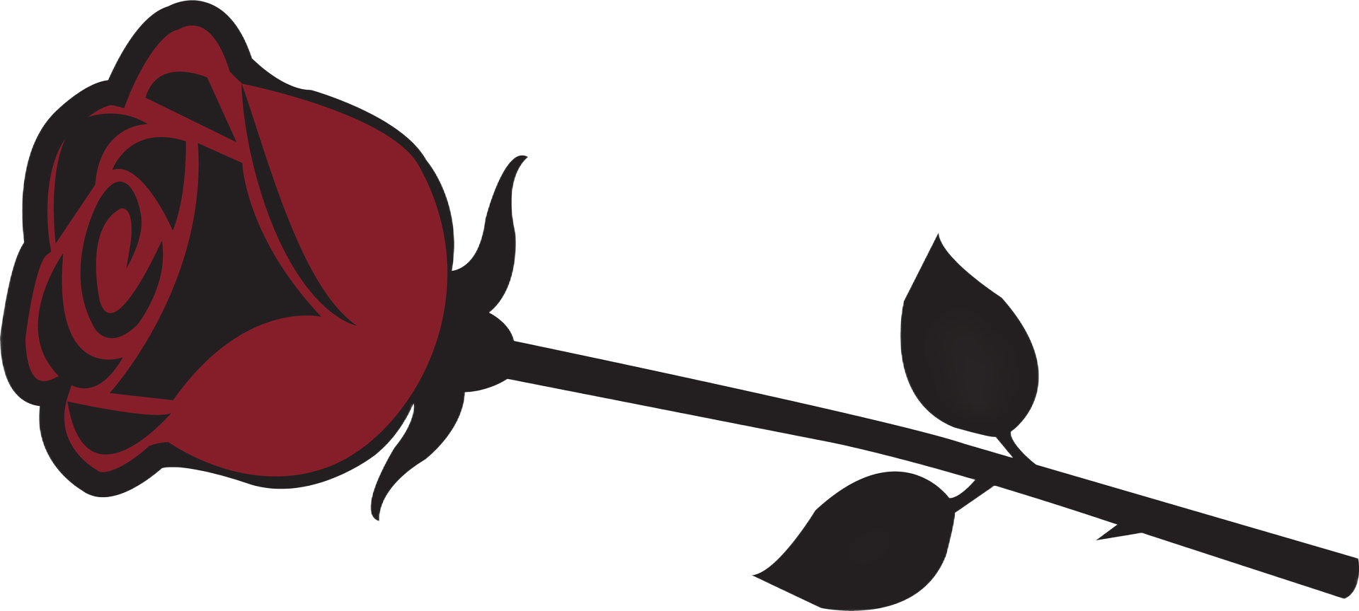 A dark stemmed red rose with two leaves on a dark background