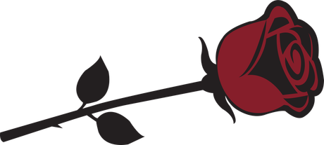 A dark stemmed red rose with two leaves on a dark background