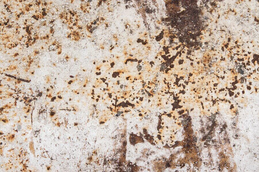 Close-up of a white and rust-speckled rough stone surface