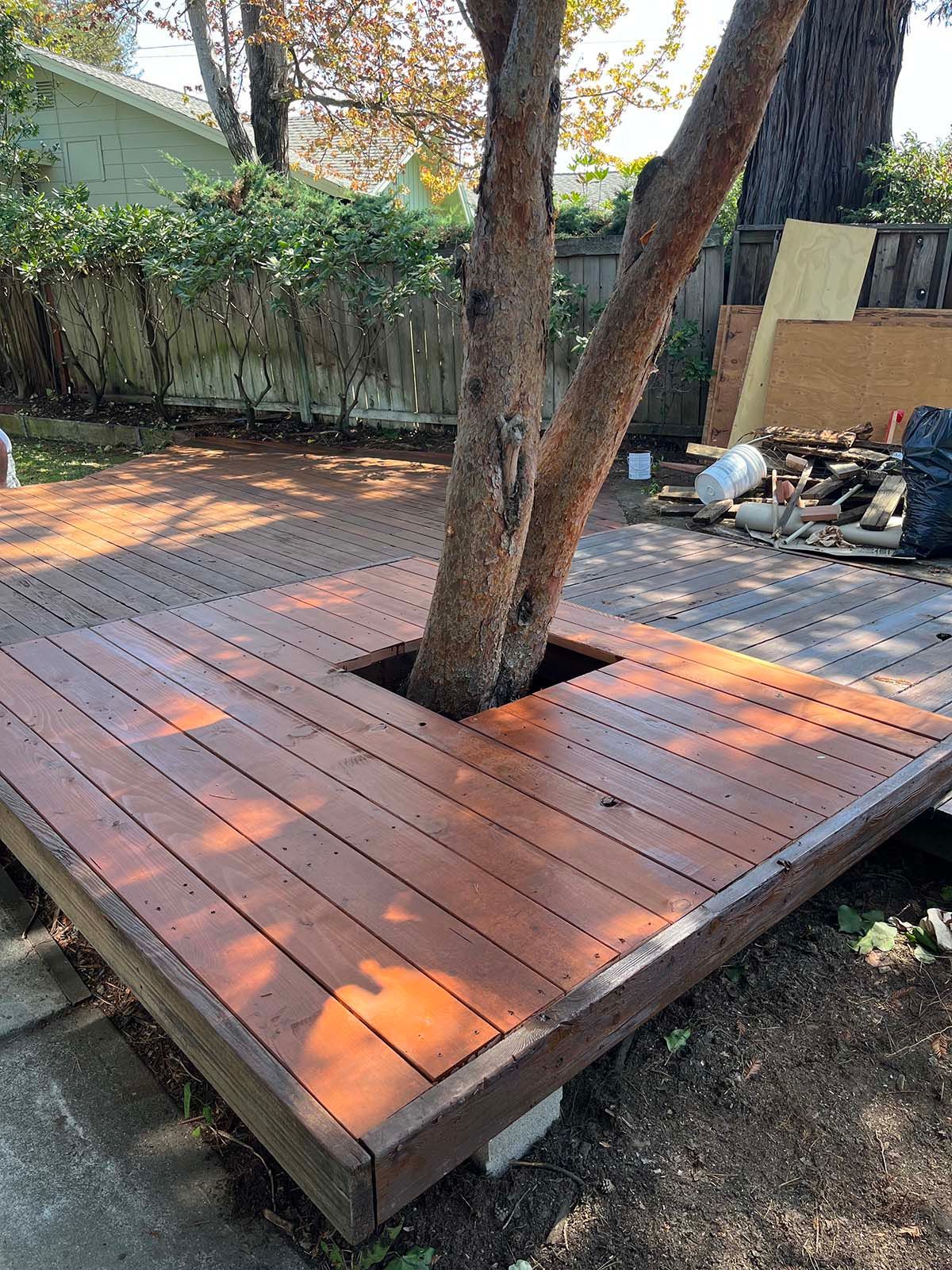 Wooden deck built around a tree trunk in a backyard garden