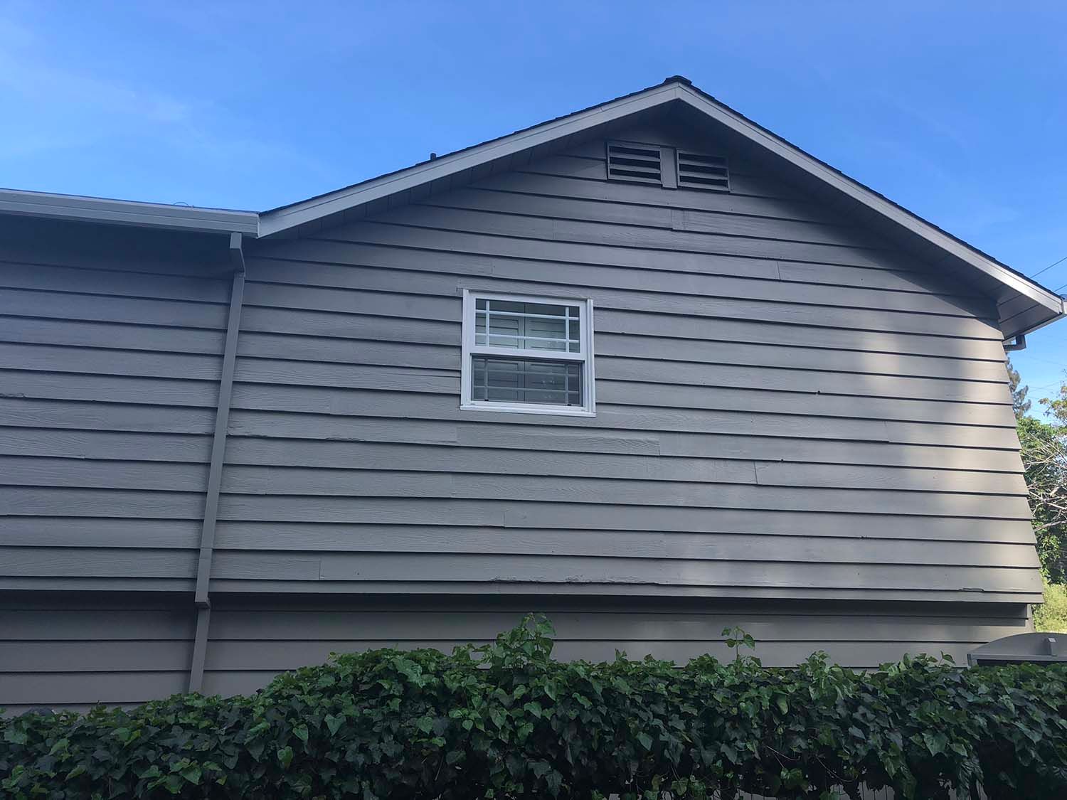 Gray-sided house exterior with a small white-framed window and shrubs under a blue sky