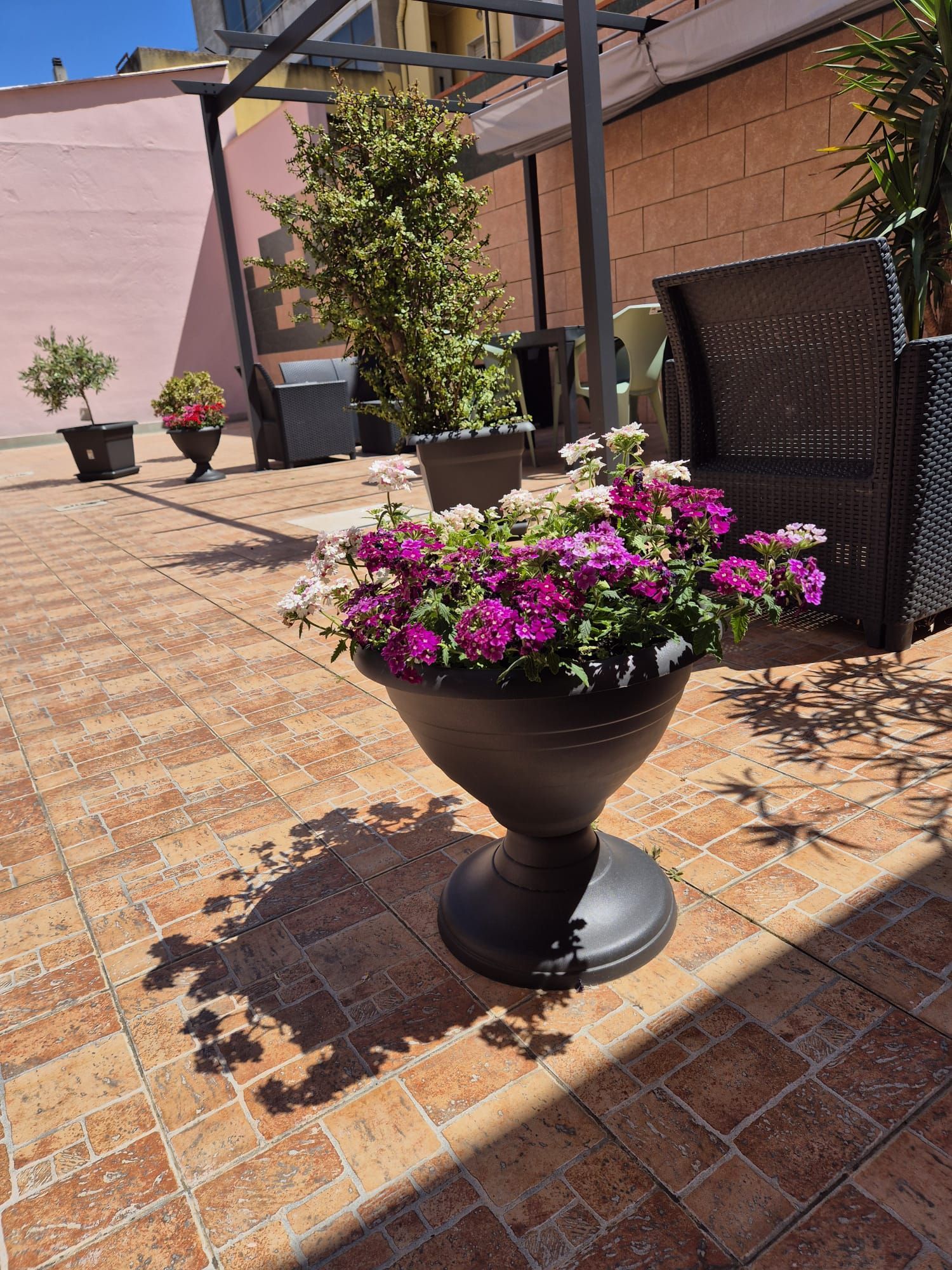 Vasi di fiori rosa su un patio piastrellato e soleggiato, accanto a una sedia e a un muro di mattoni.