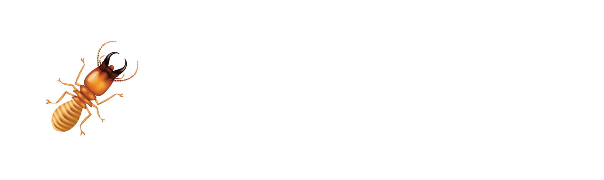 Terminate Pest Control Terminate Pest Control