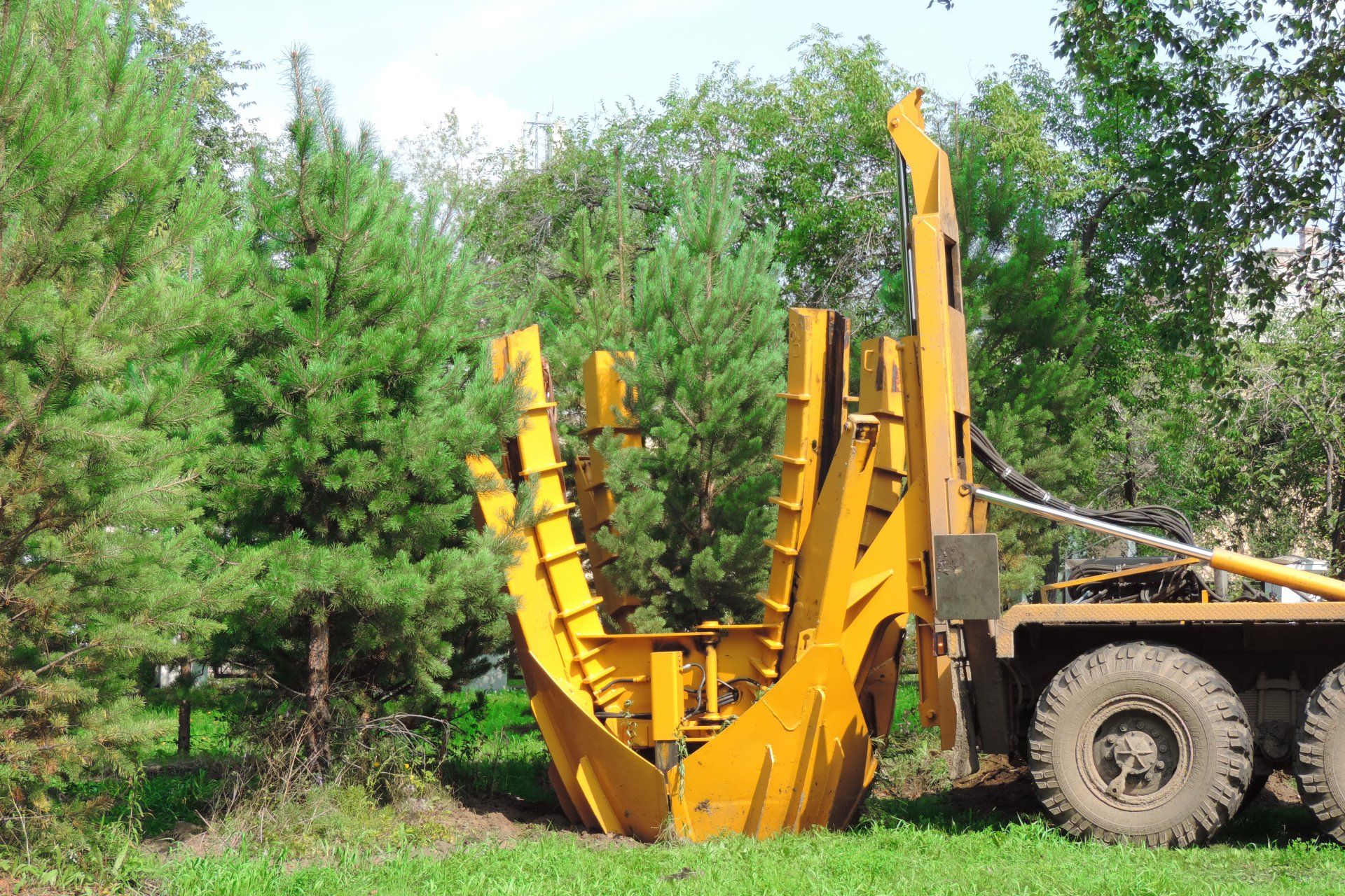 A large yellow truck is carrying trees in a field.