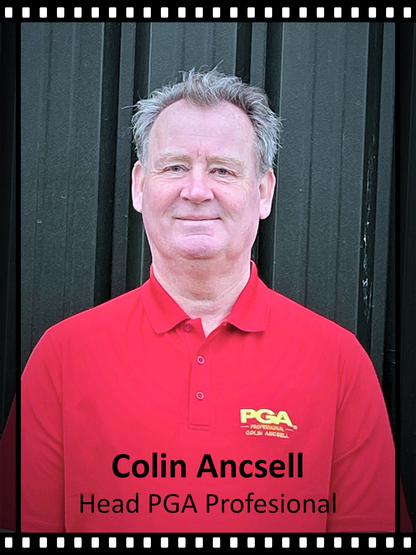Meet the Team