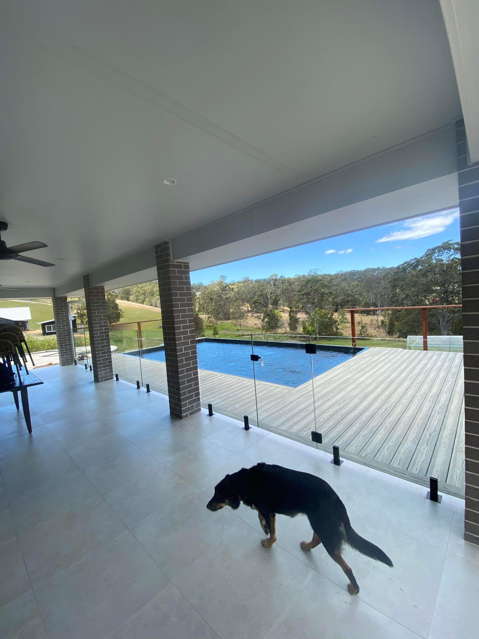 A Dog Is Walking On A Patio Next To A Pool — Nambucca Glass in Nambucca Heads, NSW