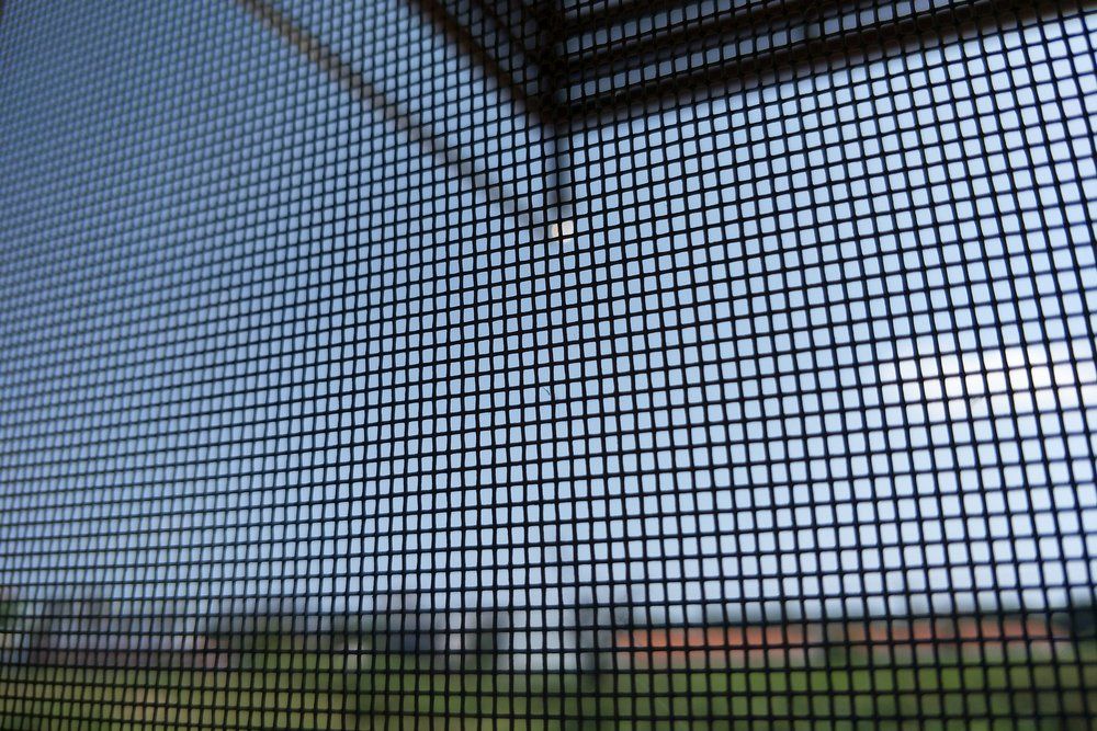A Close Up Of A Screen Door With A Blue Sky In The Background — Nambucca Glass in Nambucca Heads, NSW