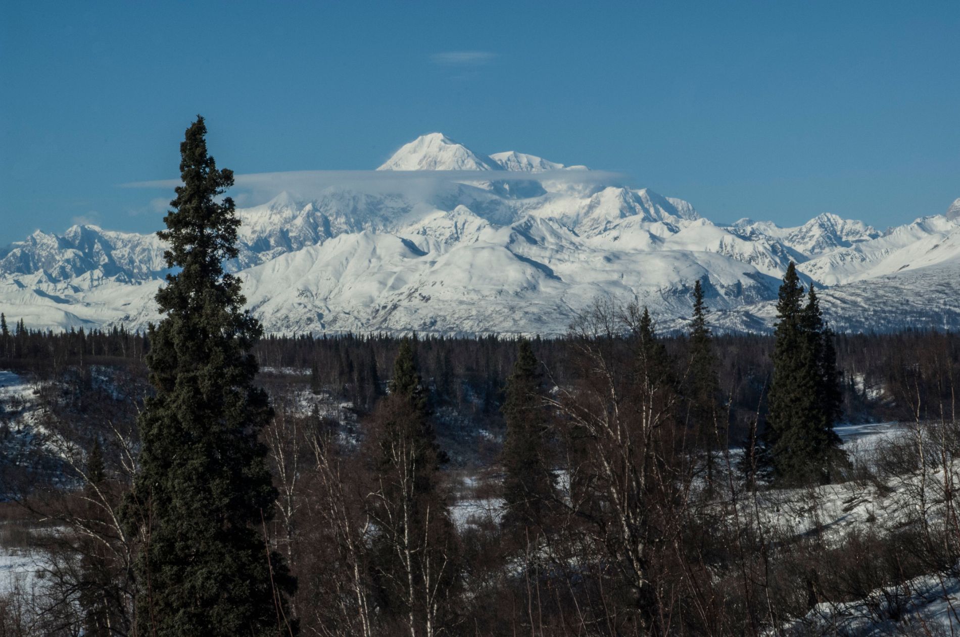 Lodging near Denali, AK Totem Inn