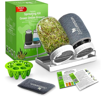 Sprout jars.