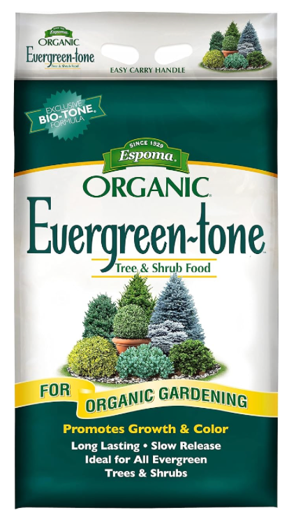 Evergreen-tone.