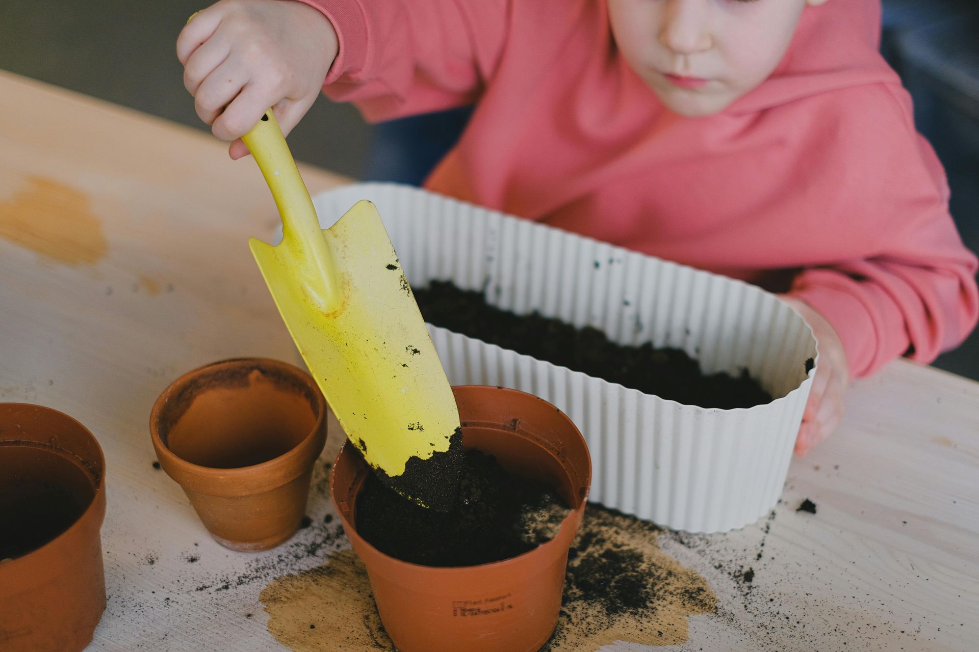 planting