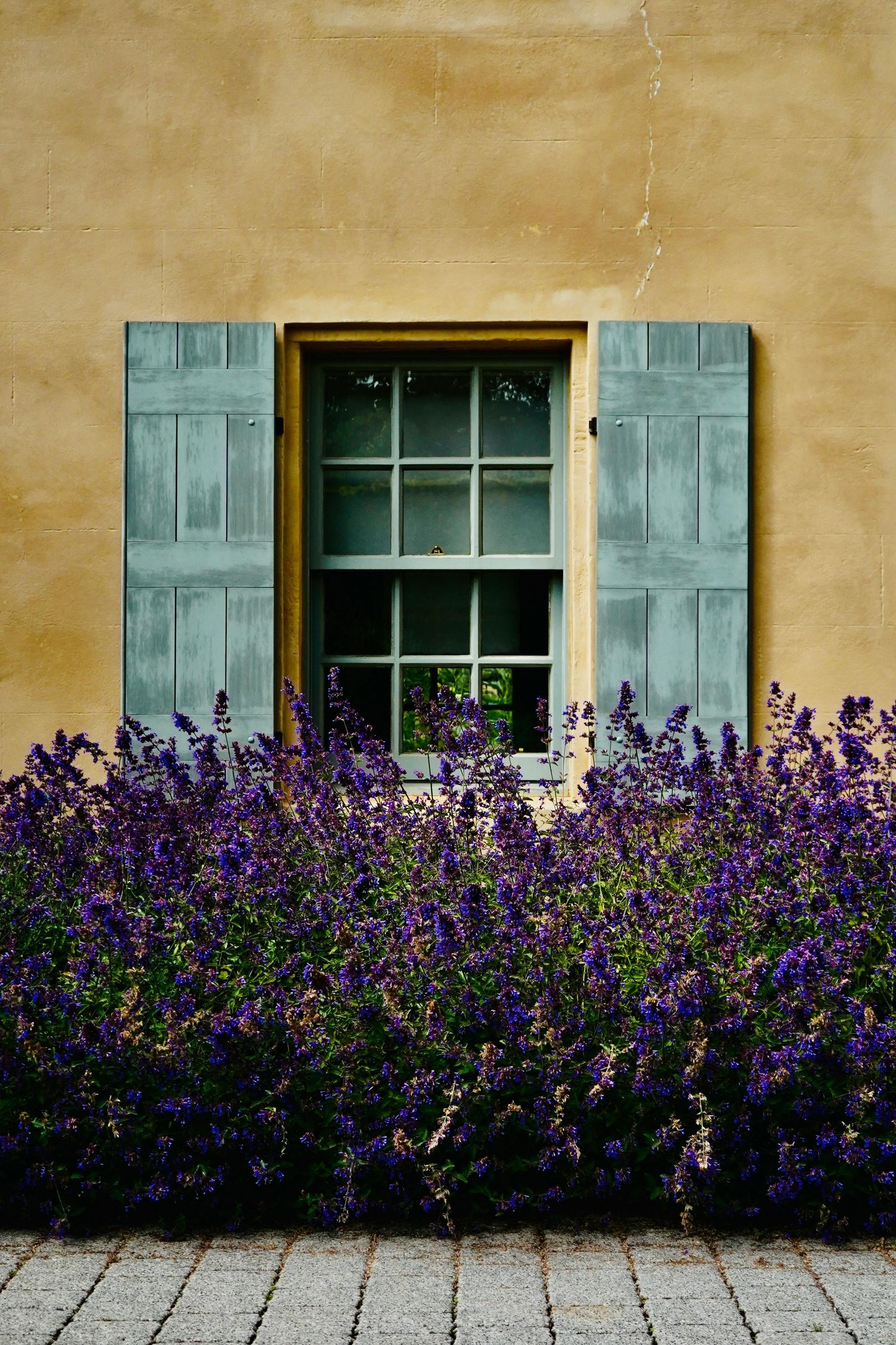 window